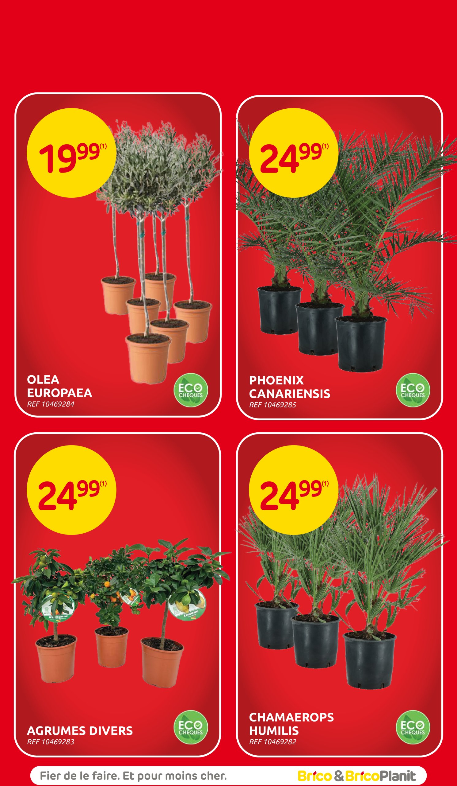 brico - Brico folder geldig vanaf 30/07 - 18/08 - page: 51