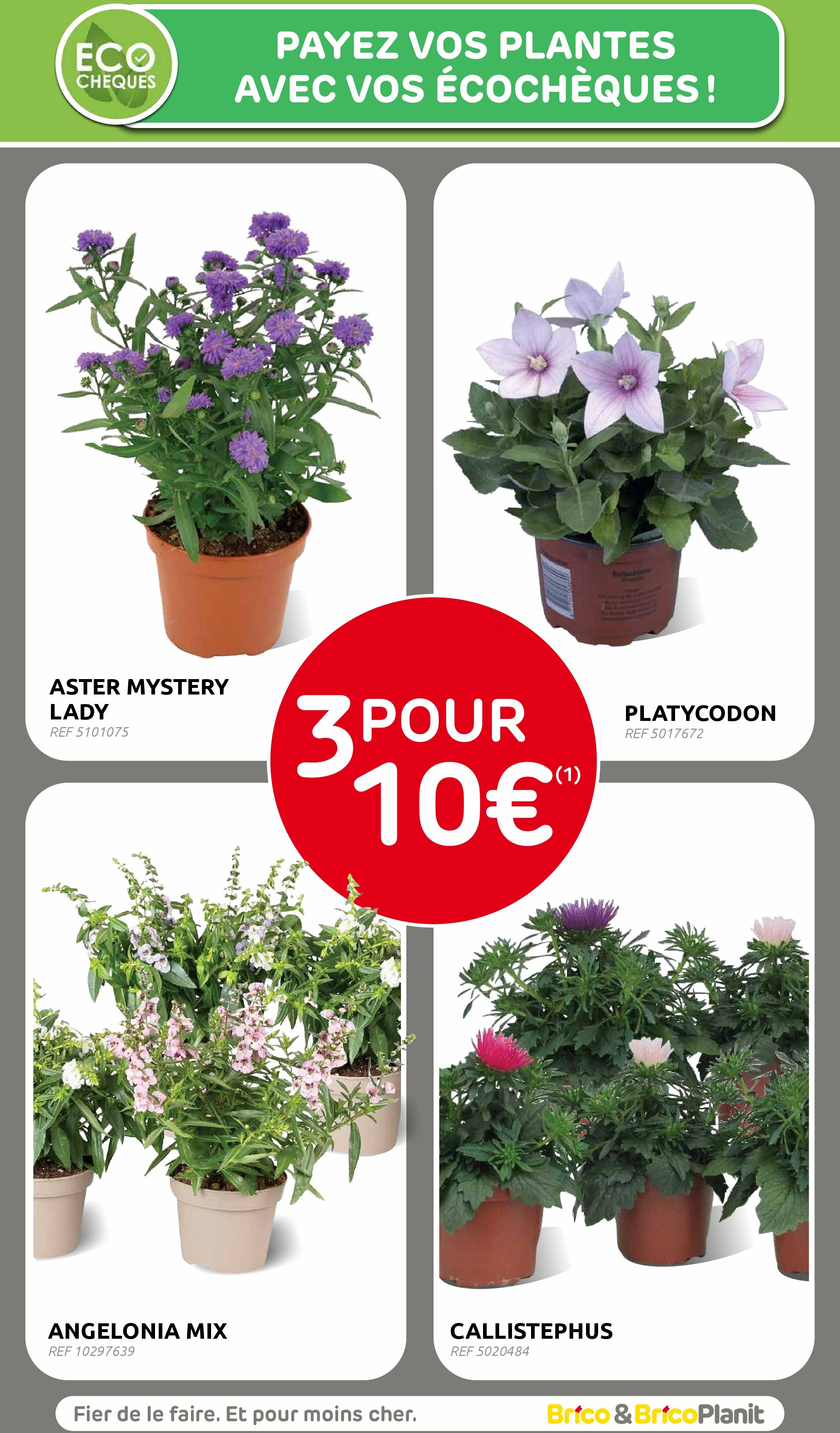 brico - Brico folder geldig vanaf 20/08 - 08/09 - page: 52