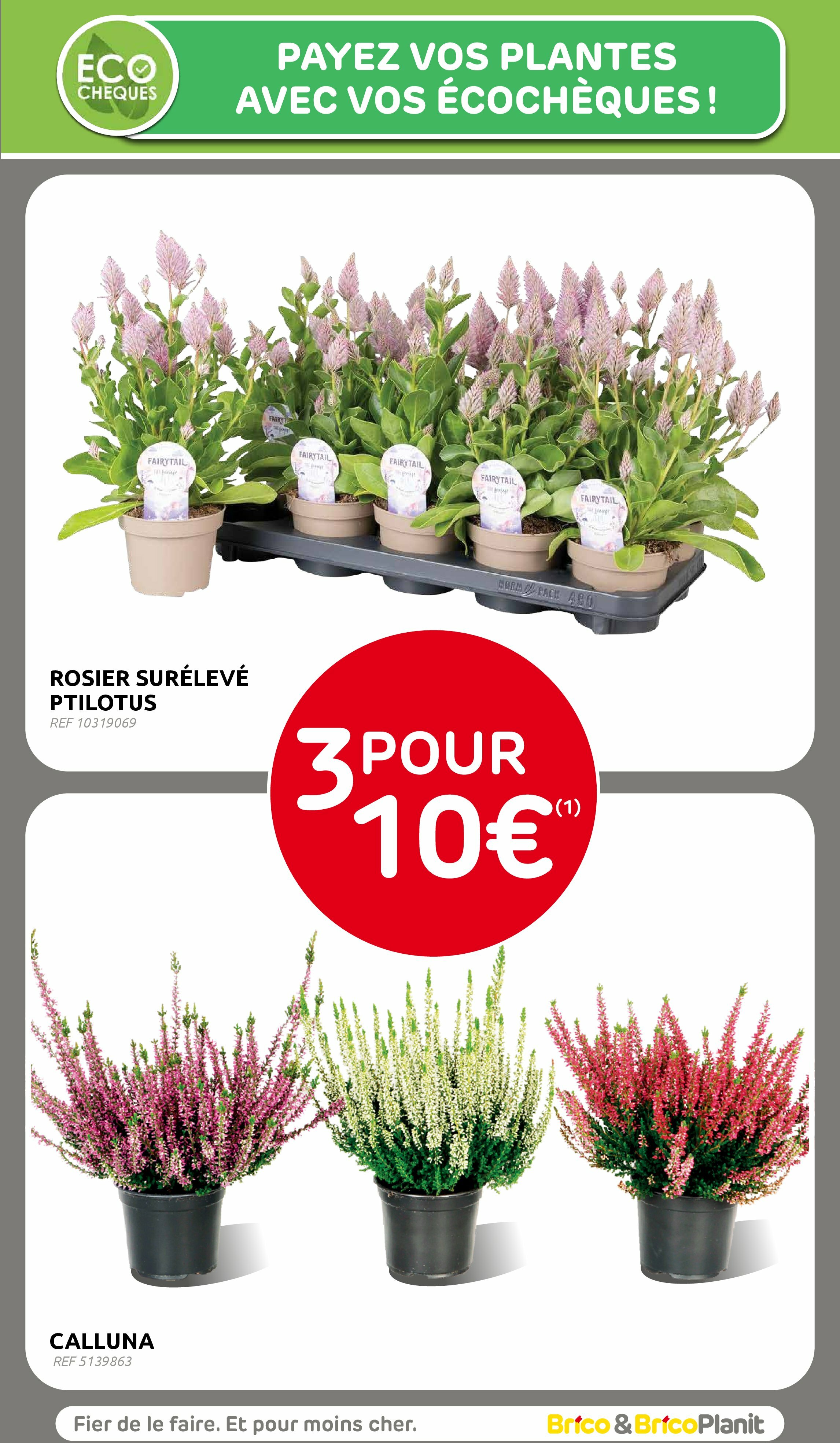 brico - Brico folder geldig vanaf 20/08 - 08/09 - page: 53