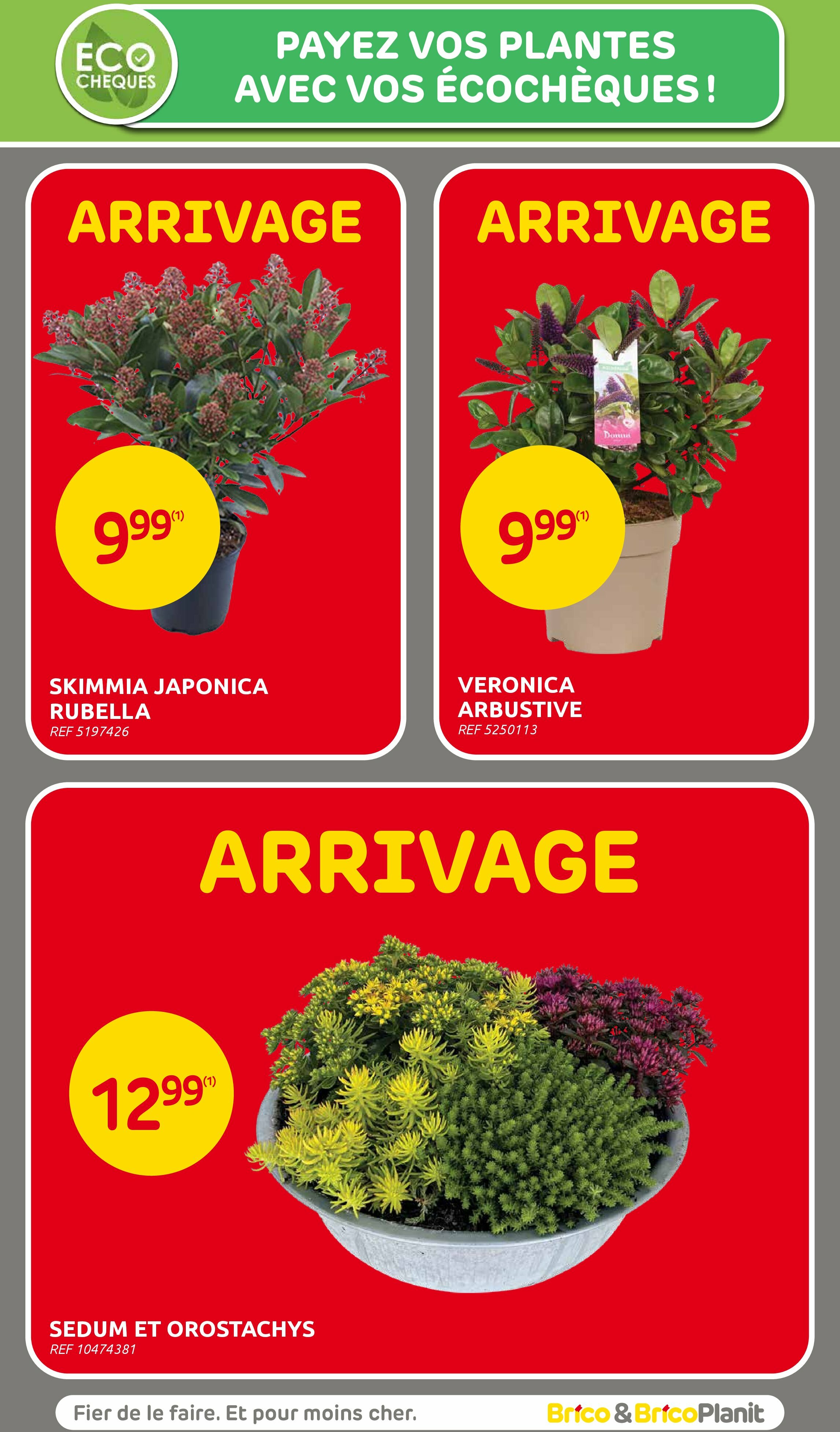 brico - Brico folder geldig vanaf 20/08 - 08/09 - page: 54