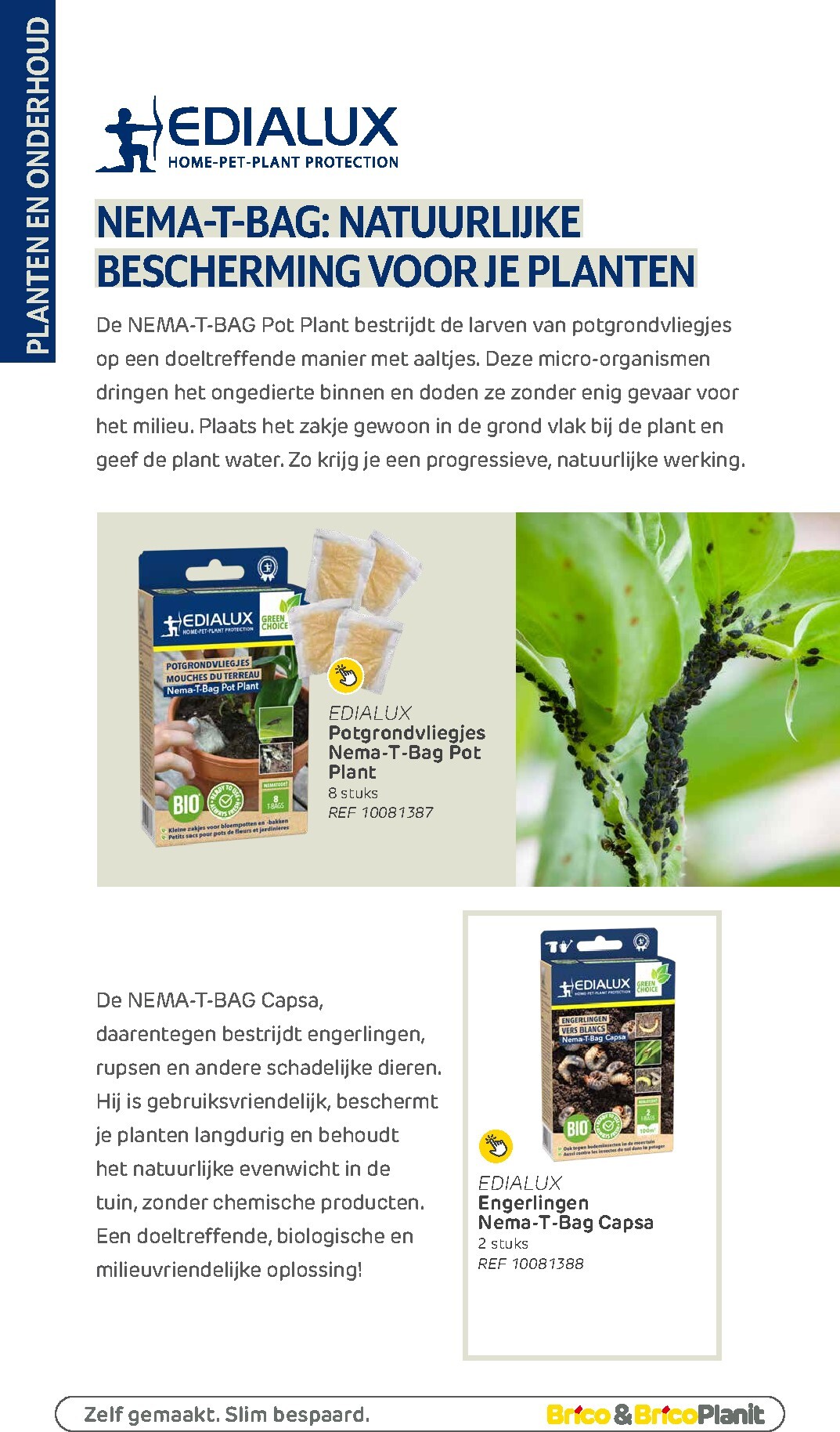 brico - De Brico - Tuin catalogus folder geldig vanaf 01/03/2026 t/m 31/12/2026 - page: 141