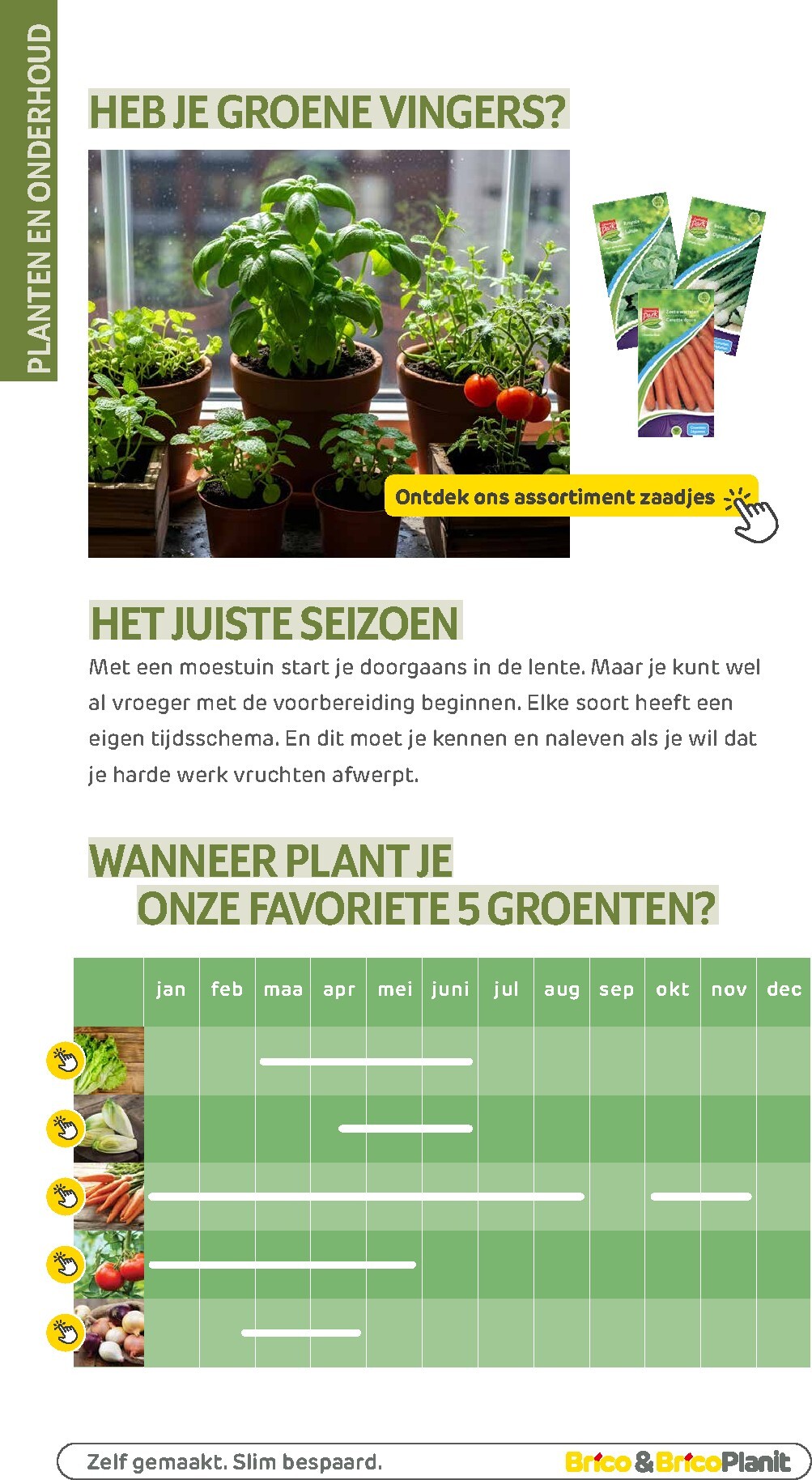 brico - De Brico - Tuin catalogus folder geldig vanaf 01/03/2026 t/m 31/12/2026 - page: 137