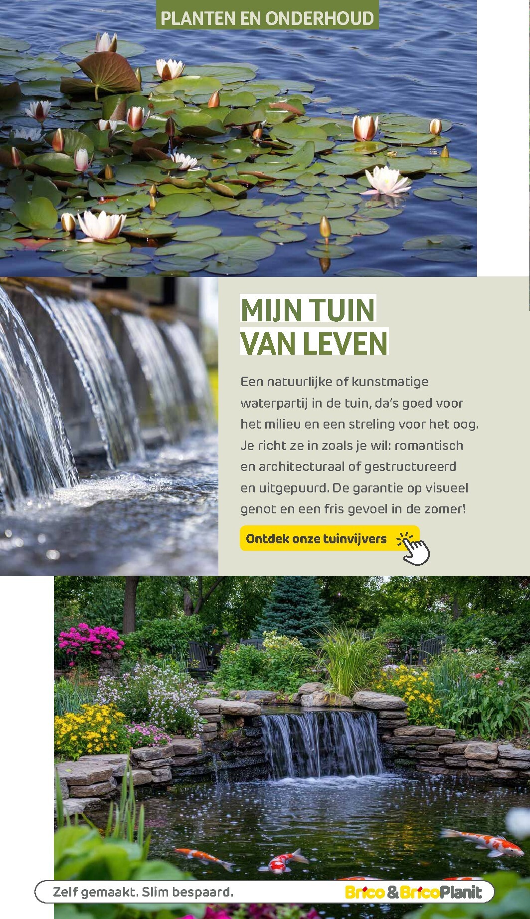 brico - De Brico - Tuin catalogus folder geldig vanaf 01/03/2026 t/m 31/12/2026 - page: 181