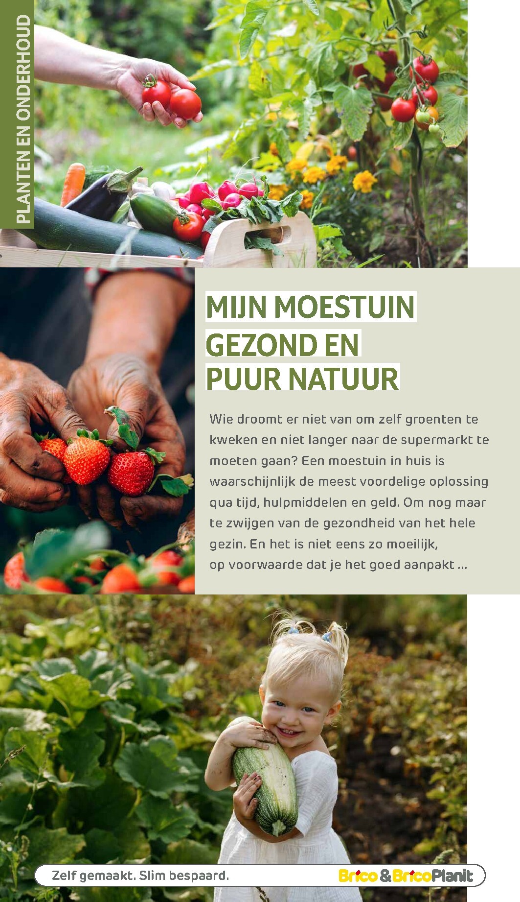 brico - De Brico - Tuin catalogus folder geldig vanaf 01/03/2026 t/m 31/12/2026 - page: 133