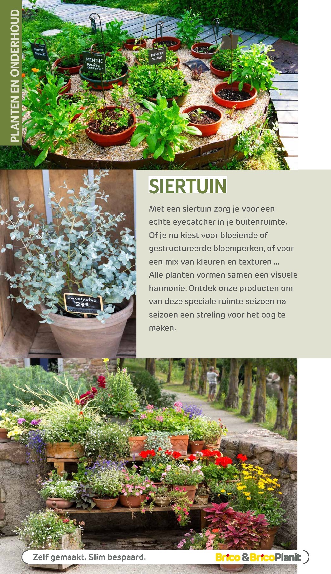 brico - De Brico - Tuin catalogus folder geldig vanaf 01/03/2026 t/m 31/12/2026 - page: 155
