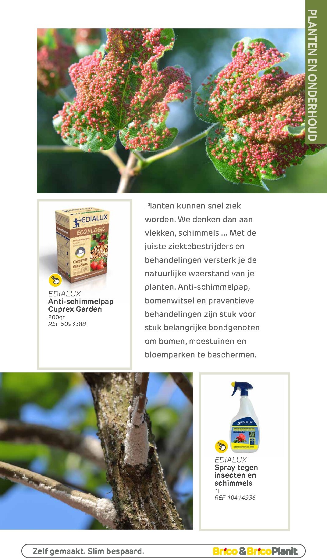 brico - De Brico - Tuin catalogus folder geldig vanaf 01/03/2026 t/m 31/12/2026 - page: 140