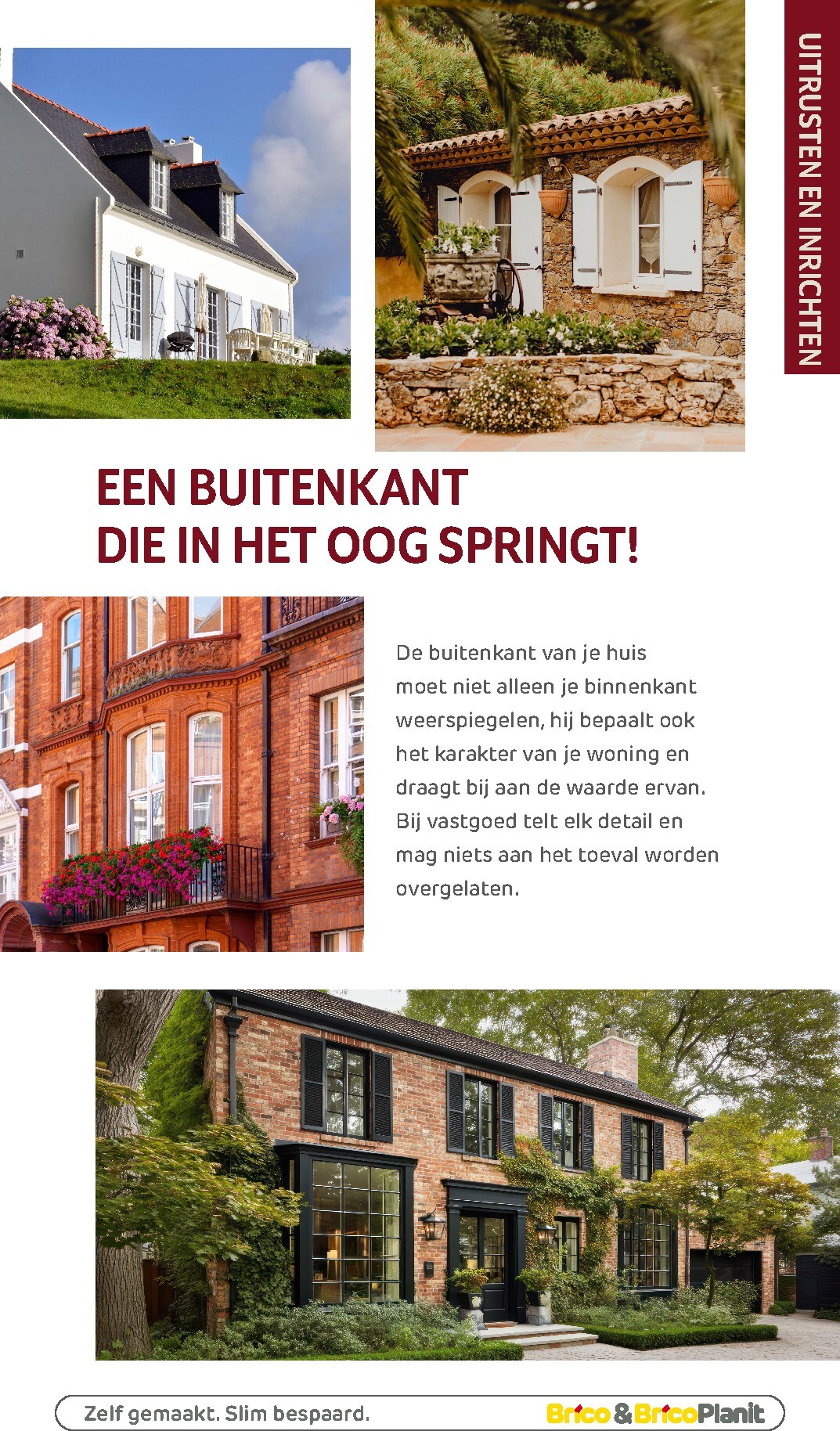 brico - De Brico - Tuin catalogus folder geldig vanaf 01/03/2026 t/m 31/12/2026 - page: 255