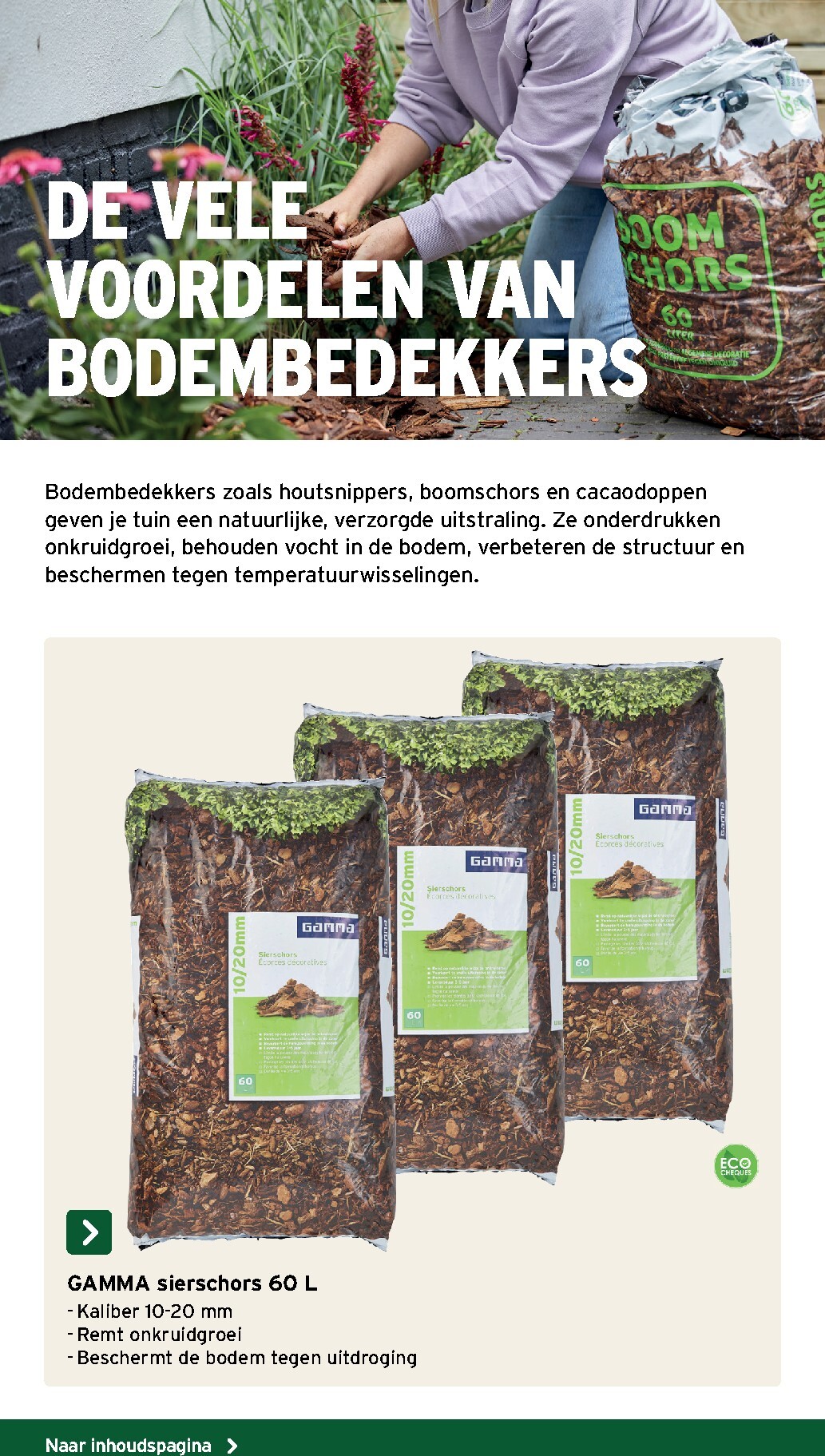 gamma - Huidige Gamma - Tuinspecial folder geldig van woensdag 17/06/2026 tot donderdag 31/12/2026 - page: 36