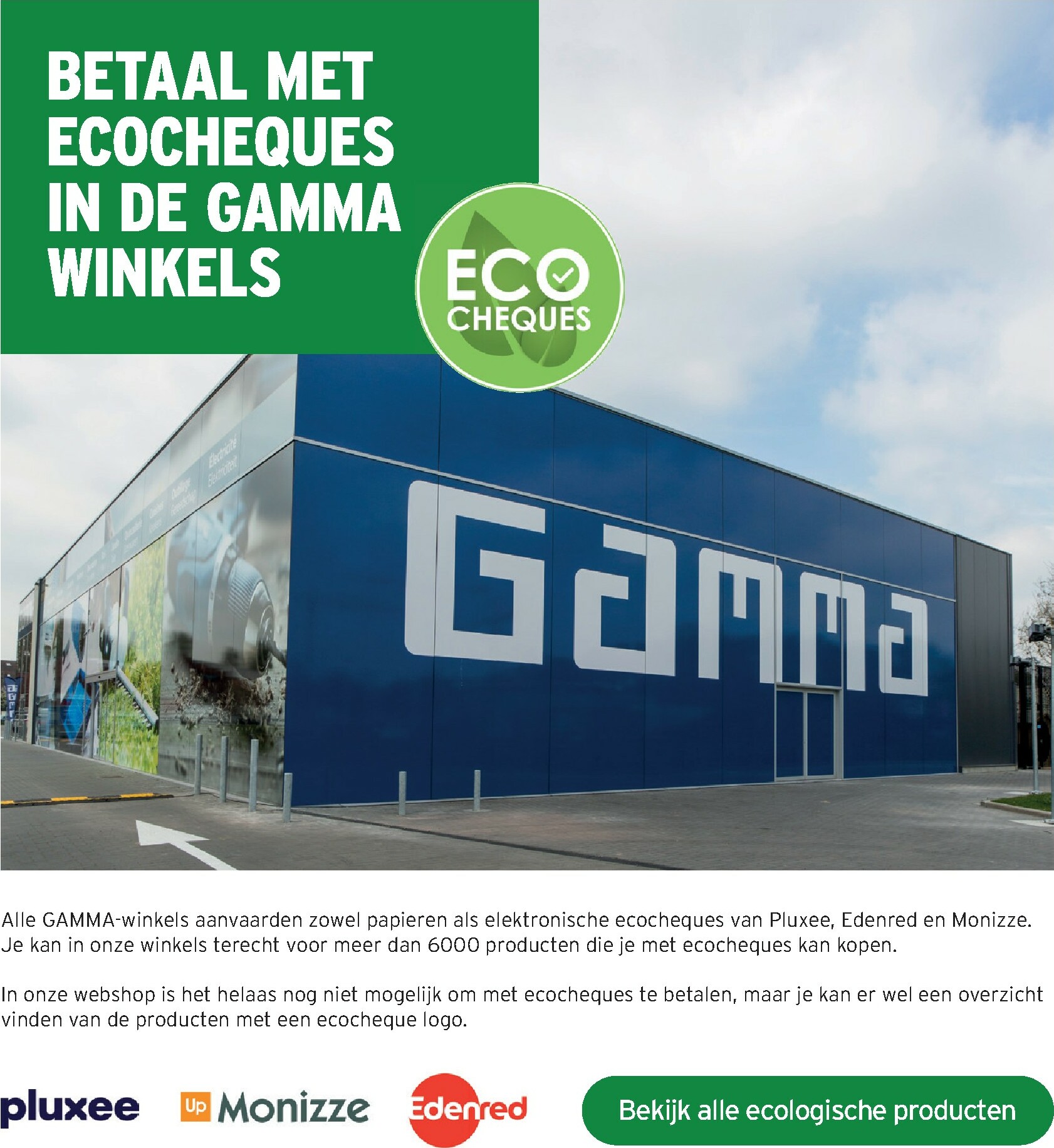 gamma - Gamma folder geldig vanaf 08/10 - 21/10 - page: 41