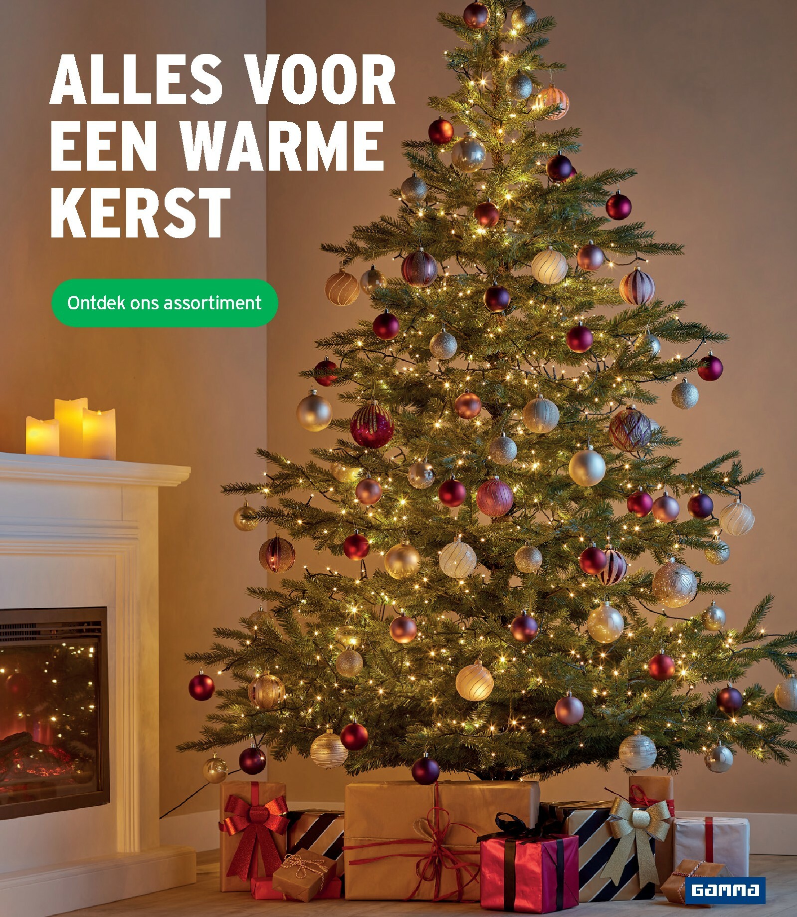 gamma - De Gamma folder geldig vanaf 03/12 t/m 16/12 - page: 3