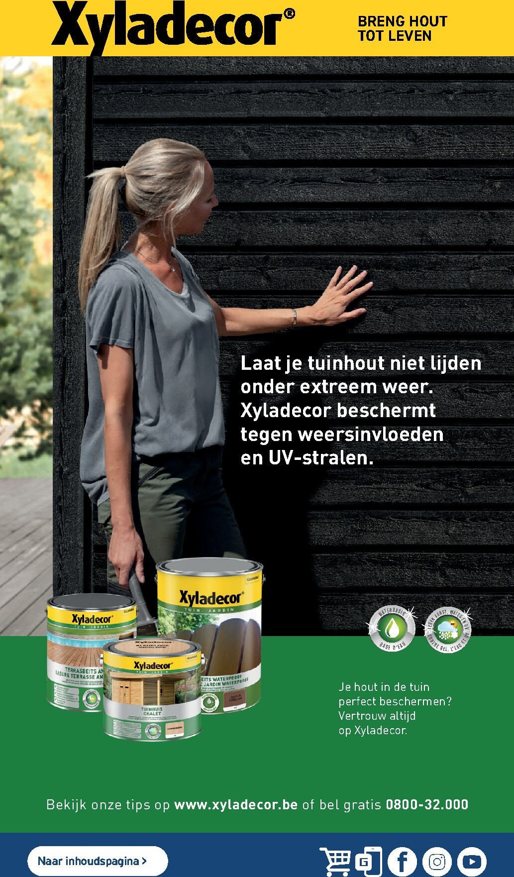 gamma - De Gamma - Verfgids 2026 folder geldig vanaf 04/03/2026 t/m 31/12/2026 - page: 3