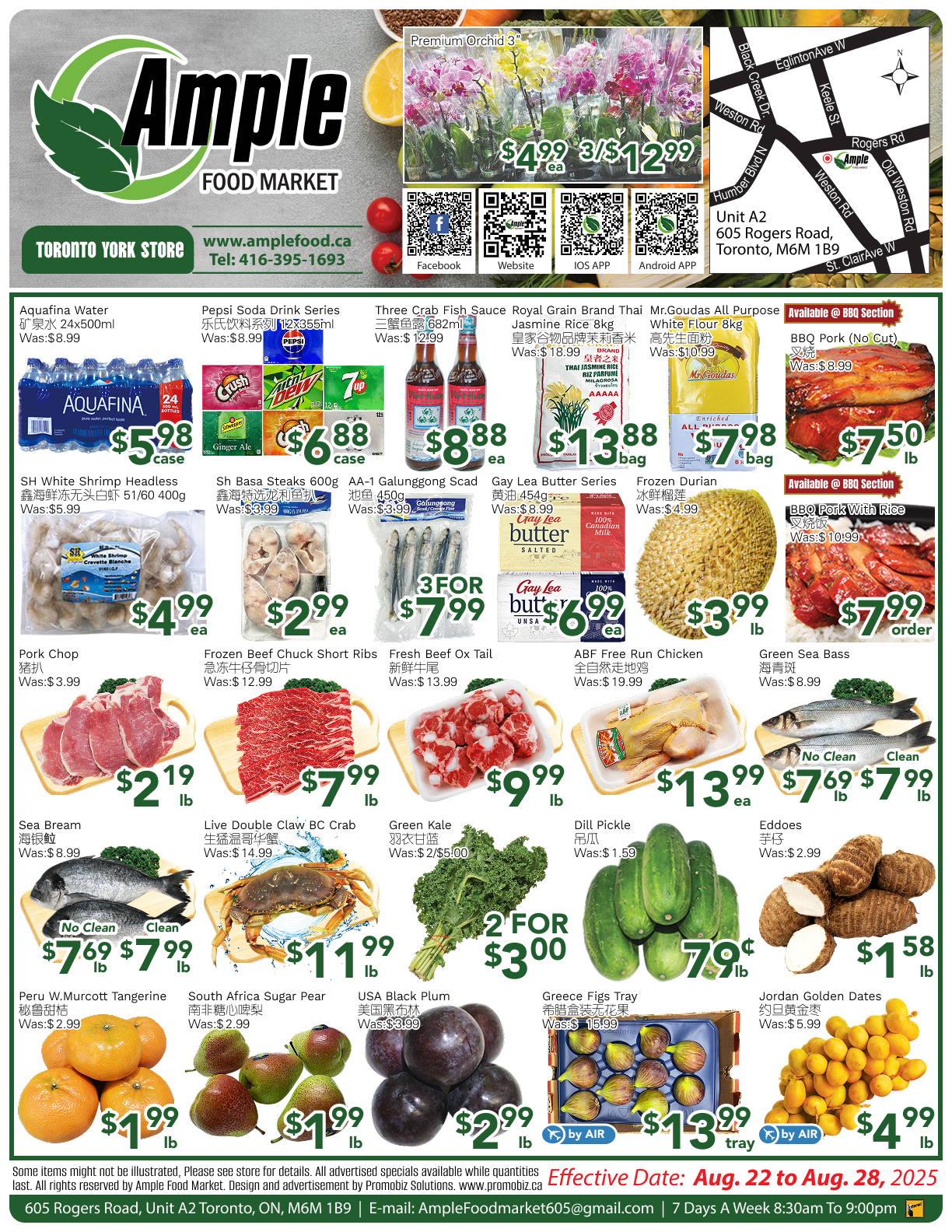 ample-supermarket - Ample Supermarket - Toronto York flyer valid from 08-22 - 08-28