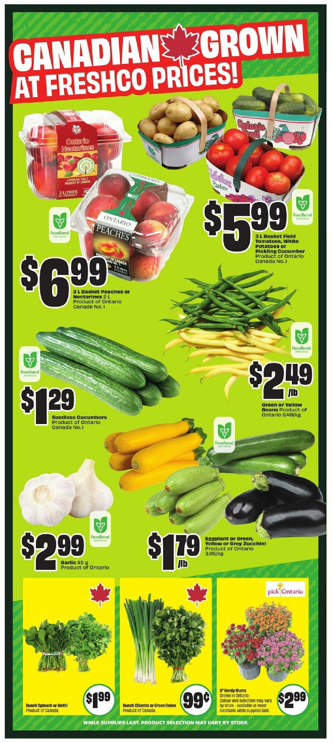 chalo-freshco - CHALO FreshCo flyer valid from 08-07 - 08-13 - page: 6