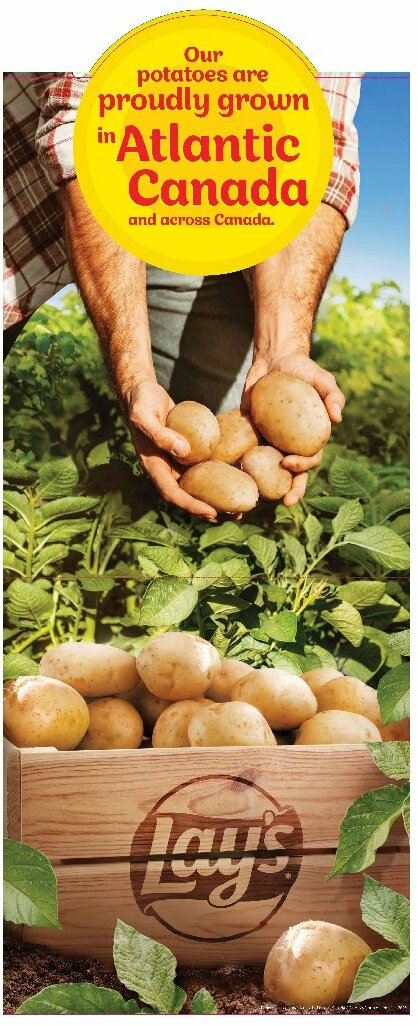 colemans - Colemans flyer valid from 08-14 - 08-20 - page: 8