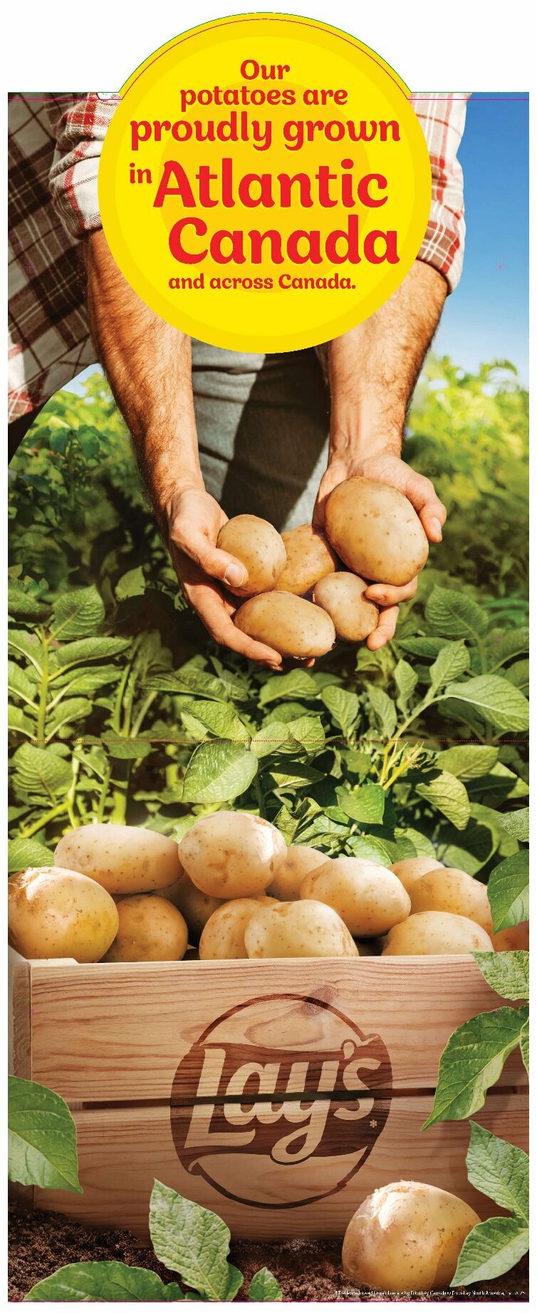 colemans - Colemans flyer valid from 08-21 - 08-27 - page: 11