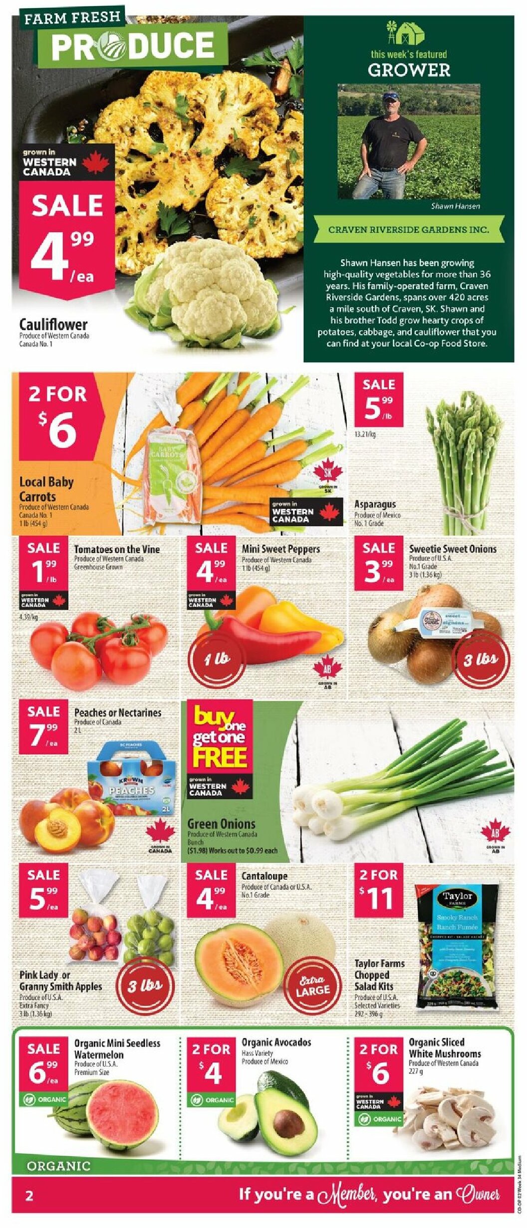 coop - Coop flyer valid from 08-14 - 08-20 - page: 3