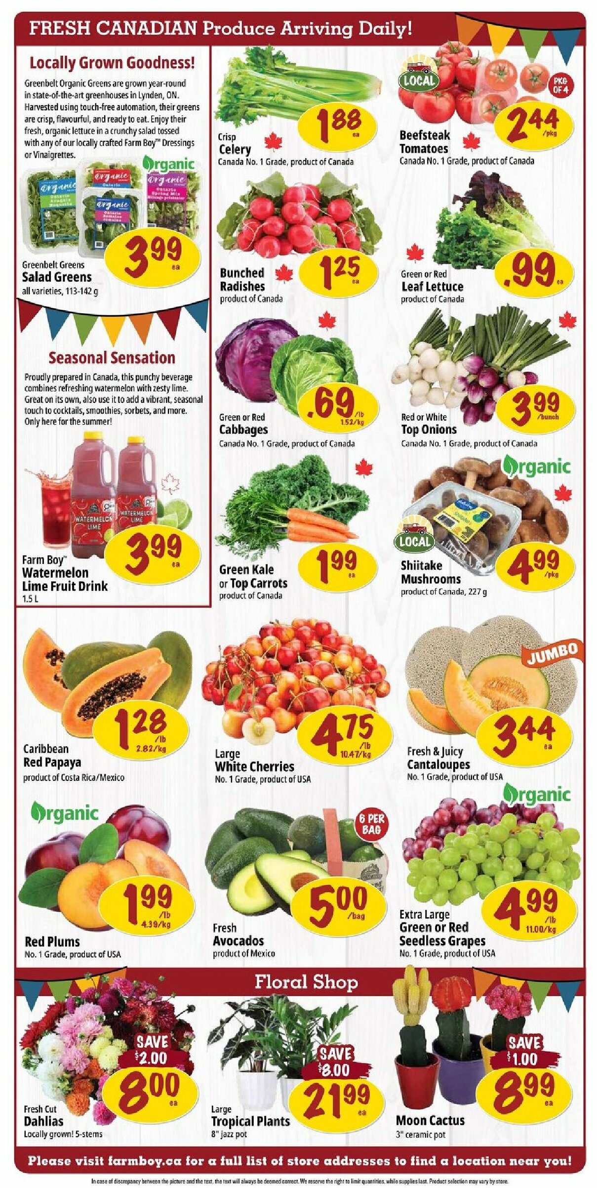 farm-boy - Farm Boy flyer valid from 07-31 - 08-06 - page: 4