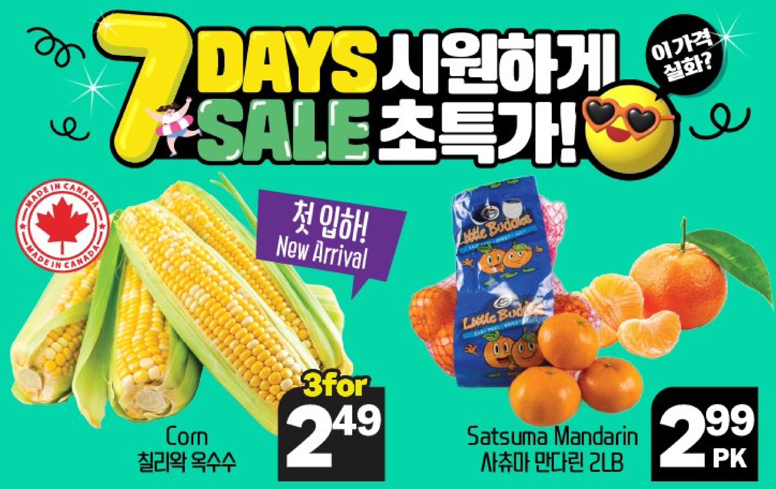 hannam-supermarket - Hannam Supermarket flyer valid from 07-24 - 07-30 - page: 16