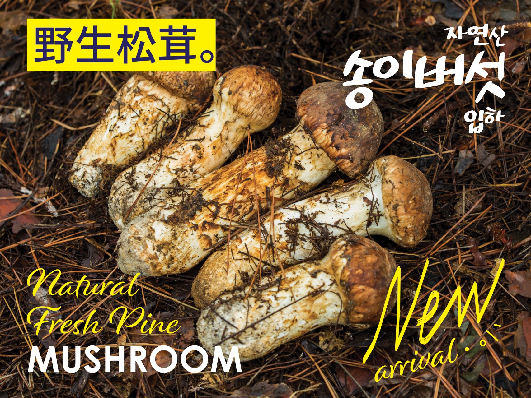 hannam-supermarket - Hannam Supermarket flyer valid from 09-05 - 09-11 - page: 15