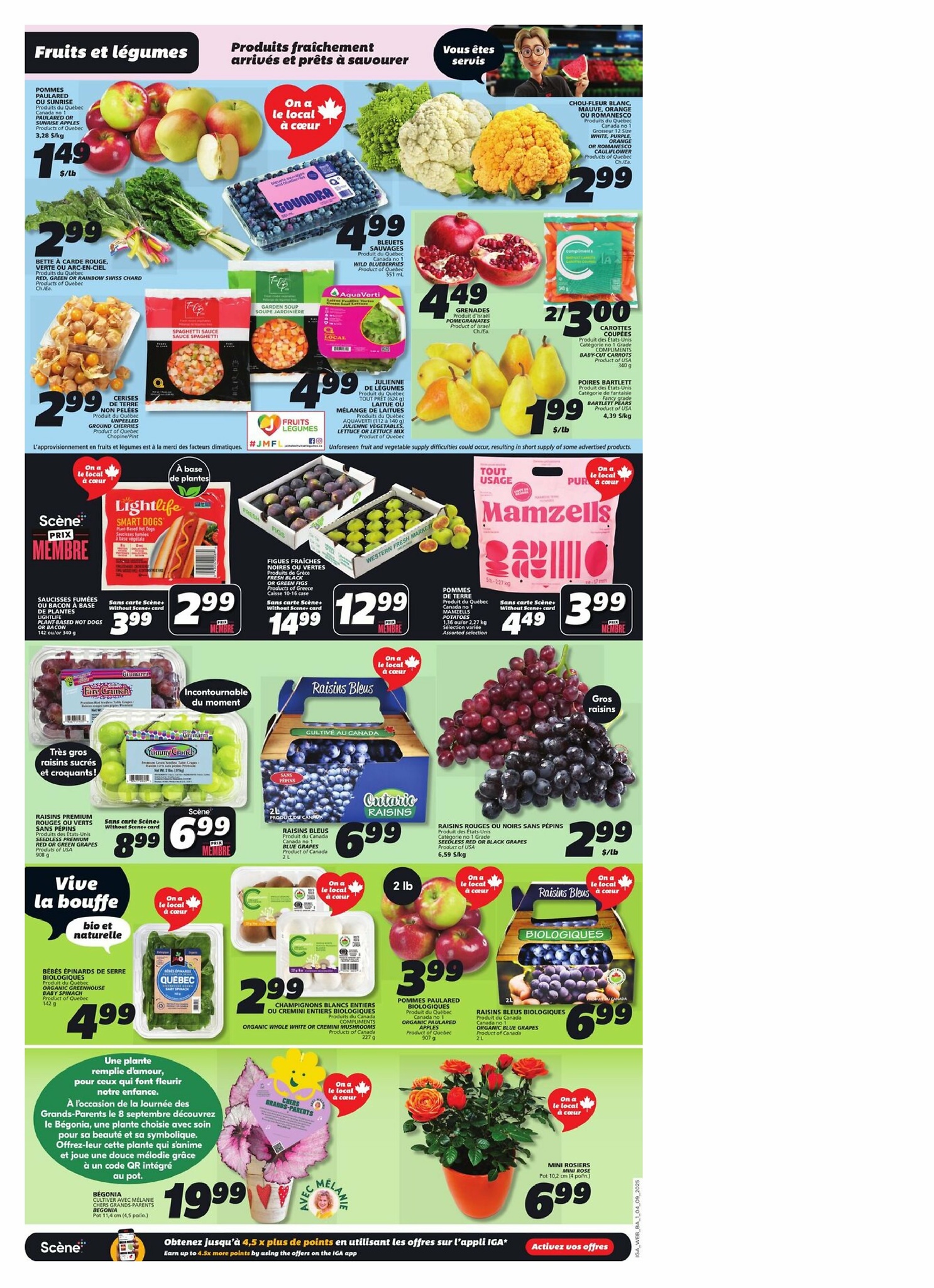 iga - IGA - New Brunswick flyer valid from 09-04 - 09-10 - page: 3