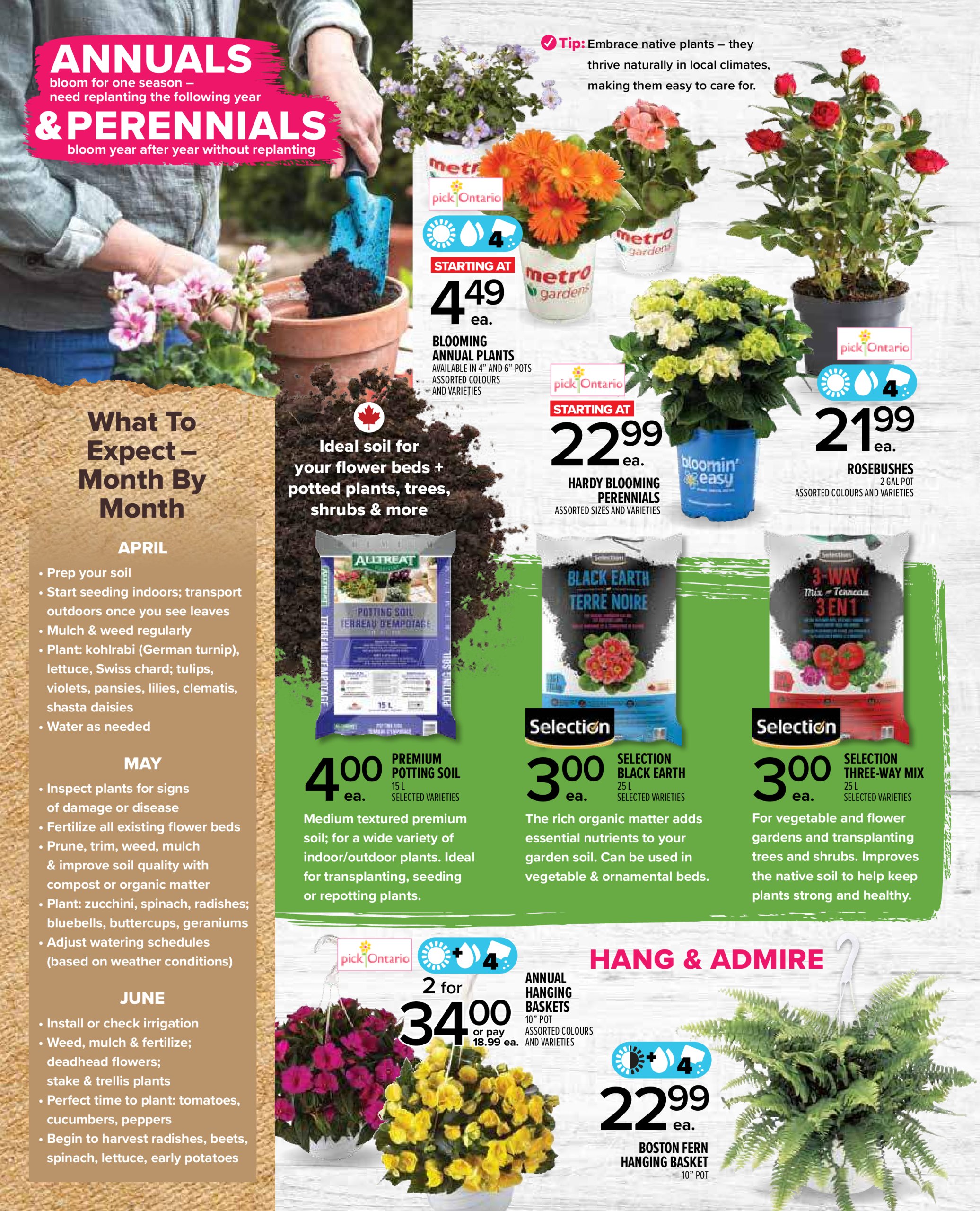 metro - Metro - Garden flyer valid from 04-24 - 05-28 - page: 2