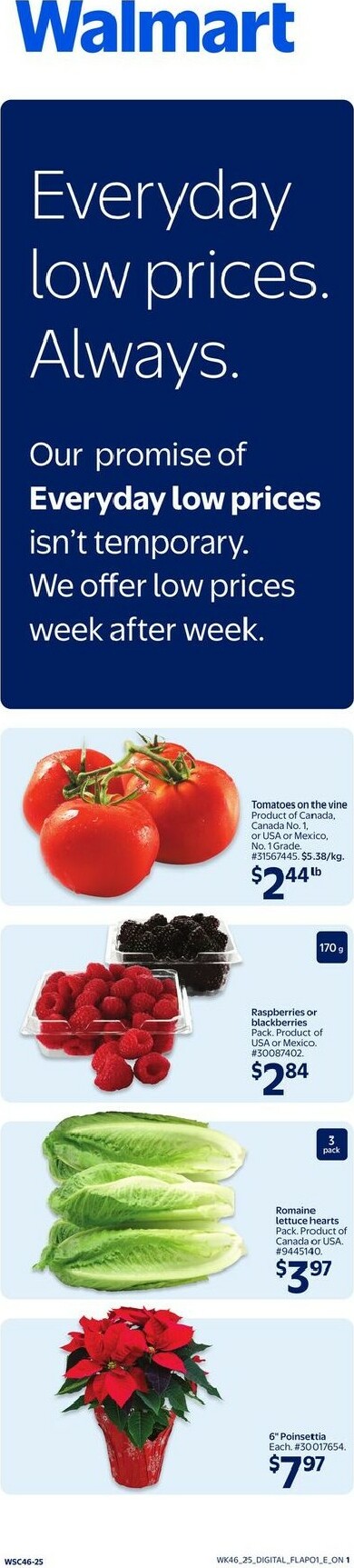 walmart - Walmart Flyer Valid From 12-11 to 12-17 - page: 2