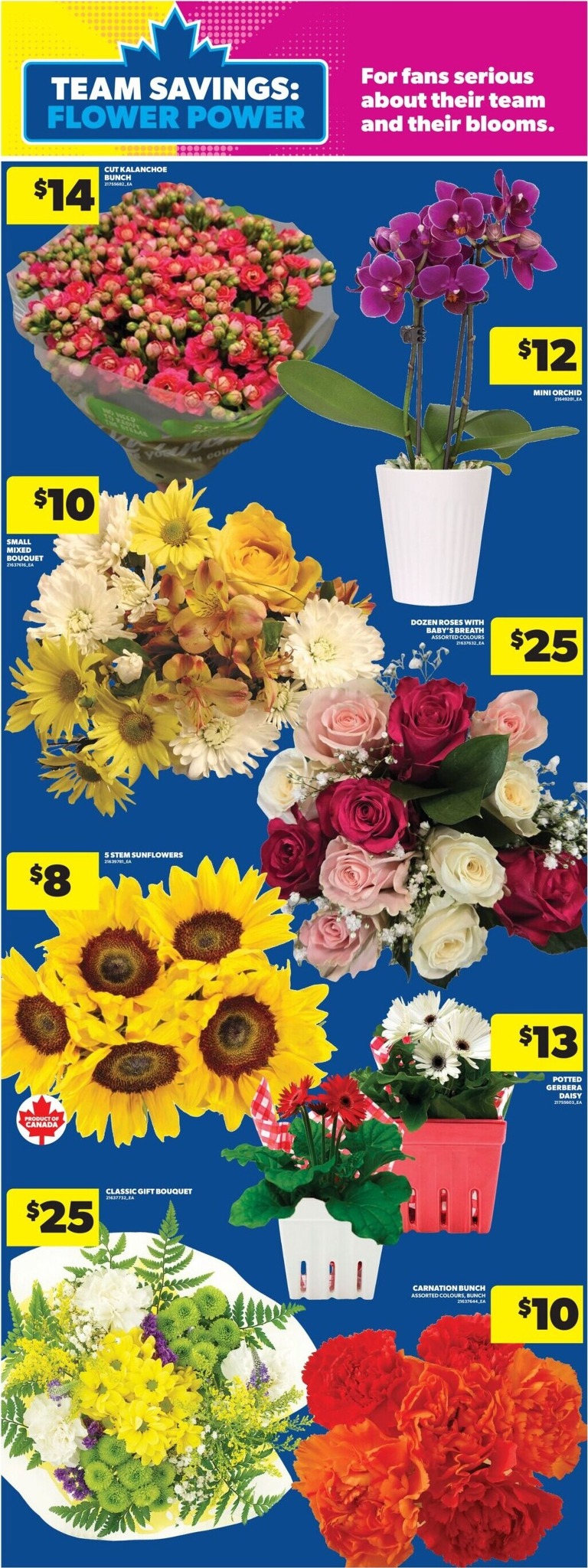 real-canadian-superstore - New Real Canadian Superstore Flyer for This Week – 2026-07-02 to 2026-07-09 - page: 13