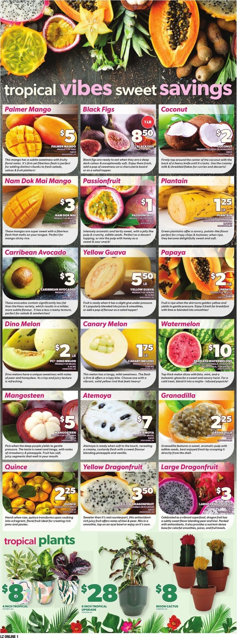 zehrs - Zehrs Flyer Valid From 2026-02-26 to 2026-03-04 - page: 7