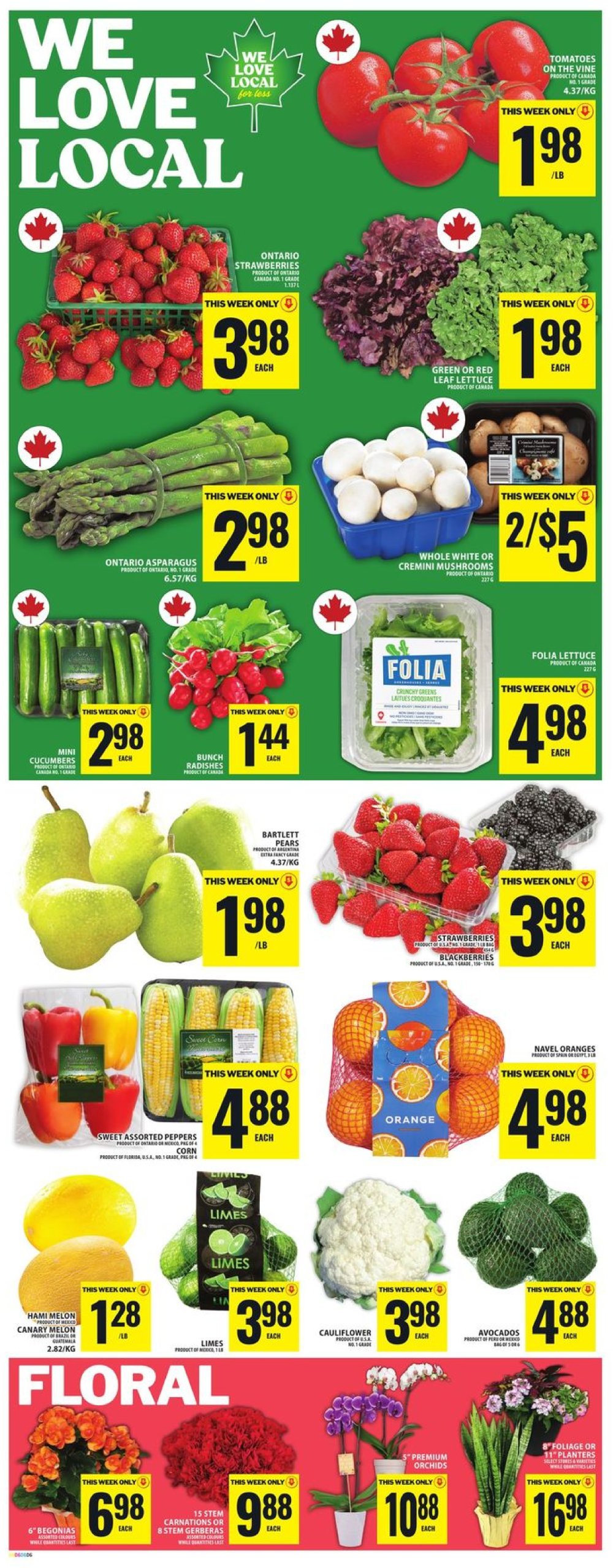 food-basics - Food Basics flyer valid from 06-05 - 06-11 - page: 10