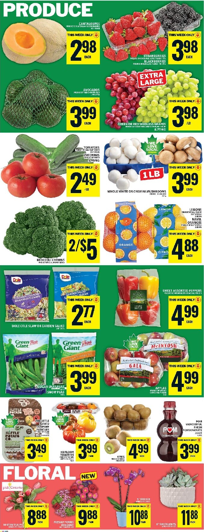food-basics - Food Basics Flyer Valid From 2026-02-26 to 2026-03-04 - page: 7