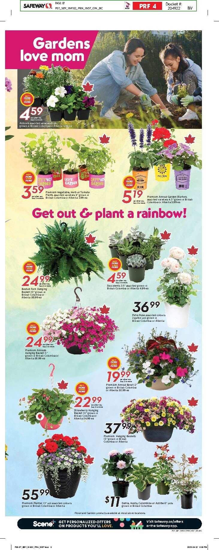 safeway - New Safeway Flyer for This Week – 2026-05-07 to 2026-05-13 - page: 10