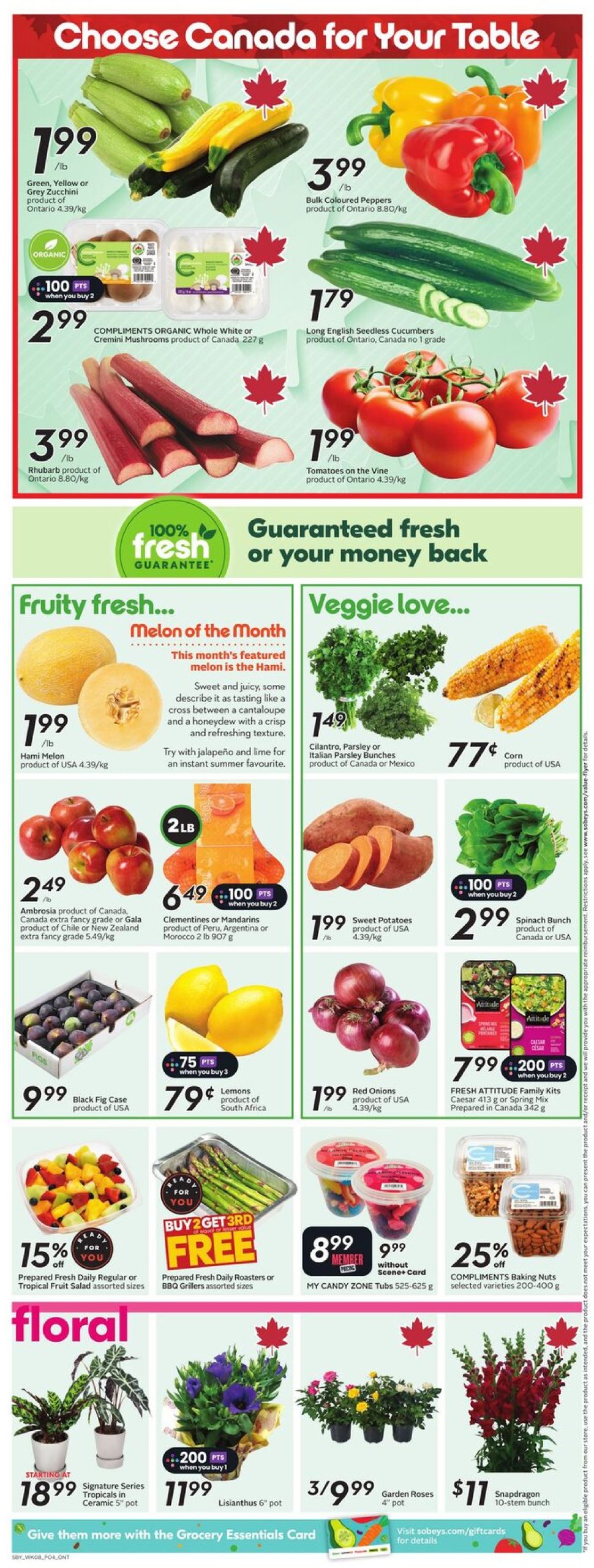 sobeys - Sobeys flyer valid from 06-19 - 06-25 - page: 9