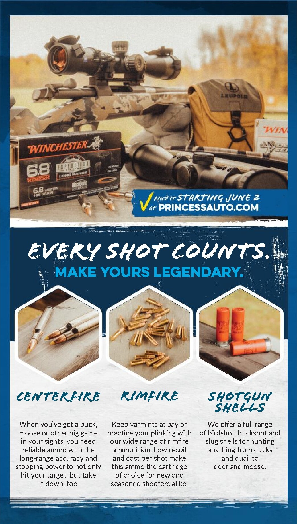 princess-auto - New Princess Auto Flyer for This Week – 2026-06-02 to 2026-06-14 - page: 94