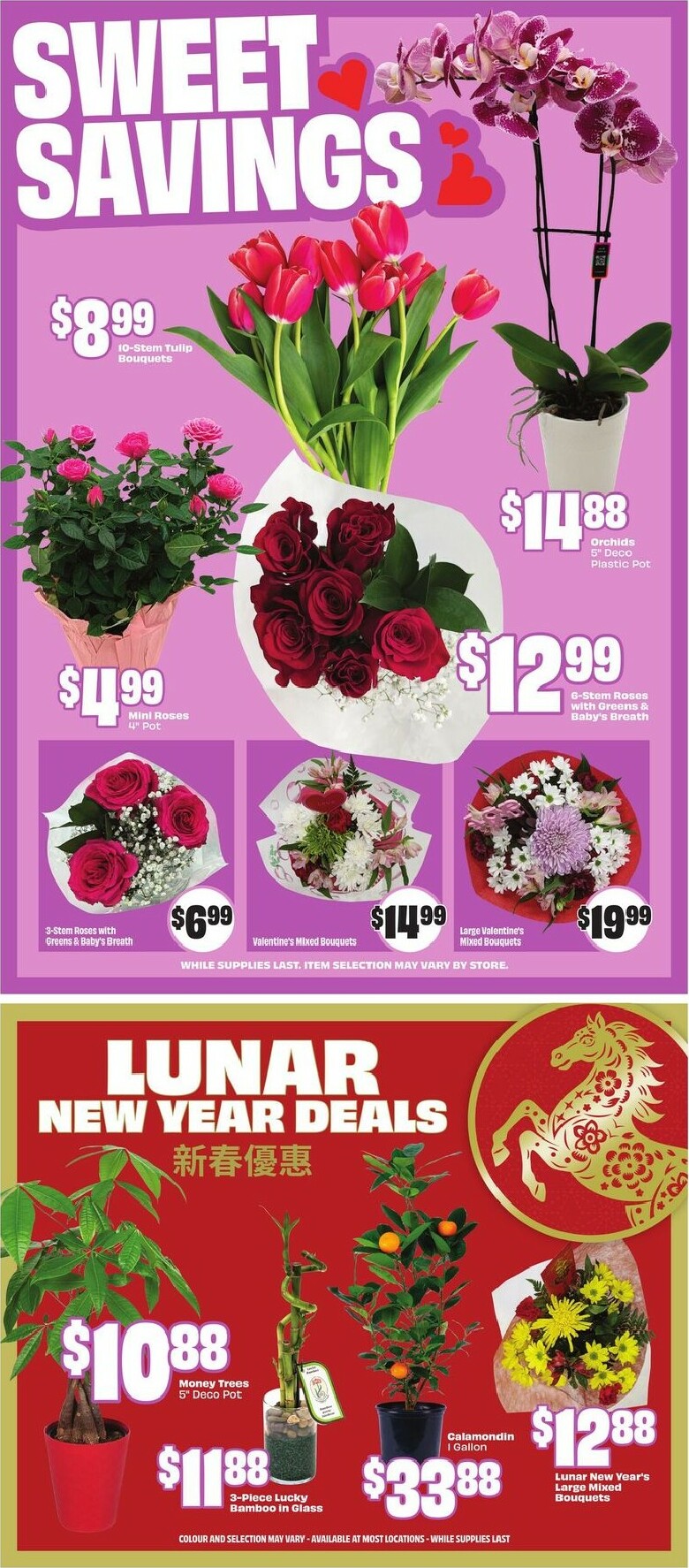 freshco - Freshco Flyer Valid From 2026-02-05 to 2026-02-11 - page: 10