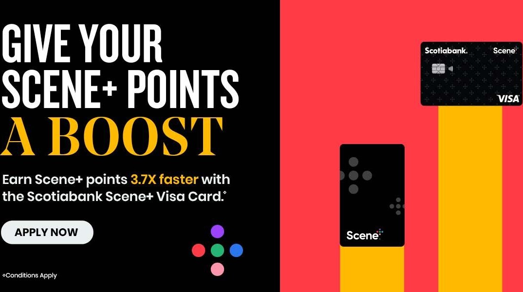 foodland - Foodland Flyer Valid From 2026-03-12 to 2026-03-18 - page: 13