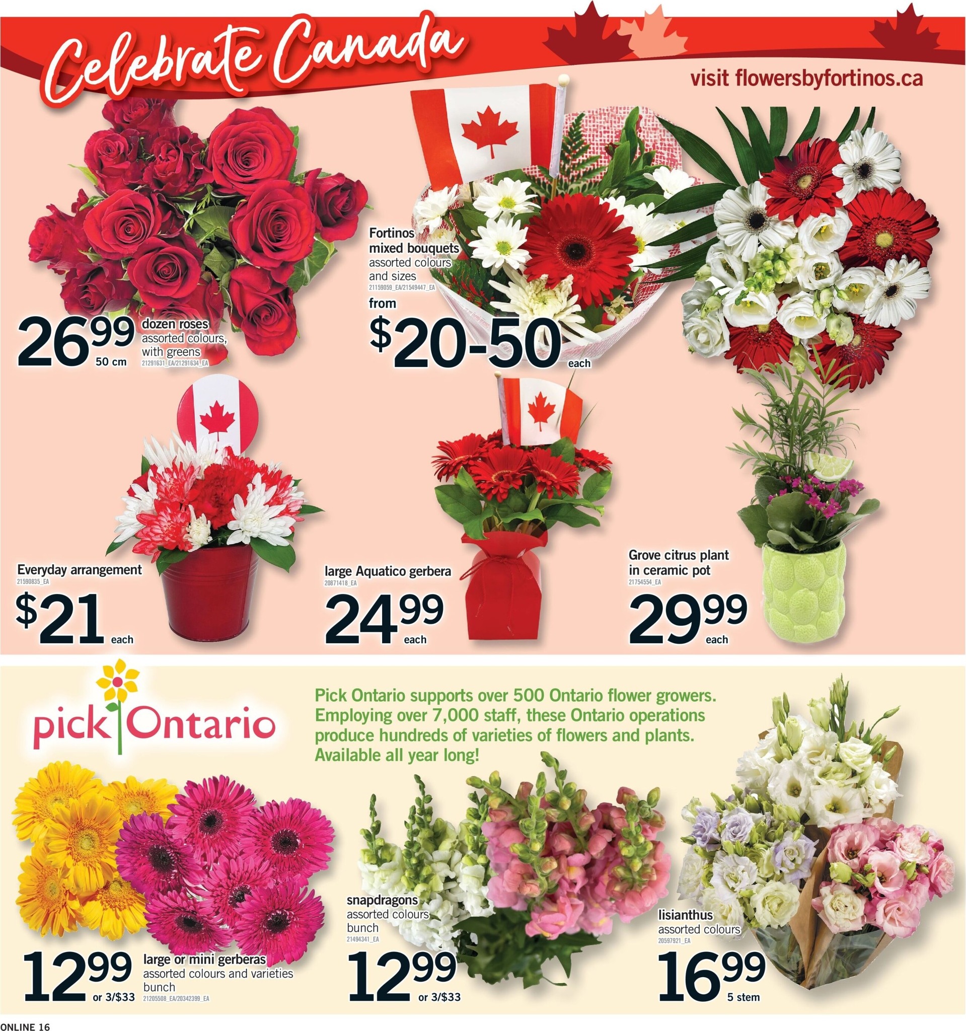 fortinos - New Fortinos Flyer for This Week – 2026-06-25 to 2026-06-30 - page: 16