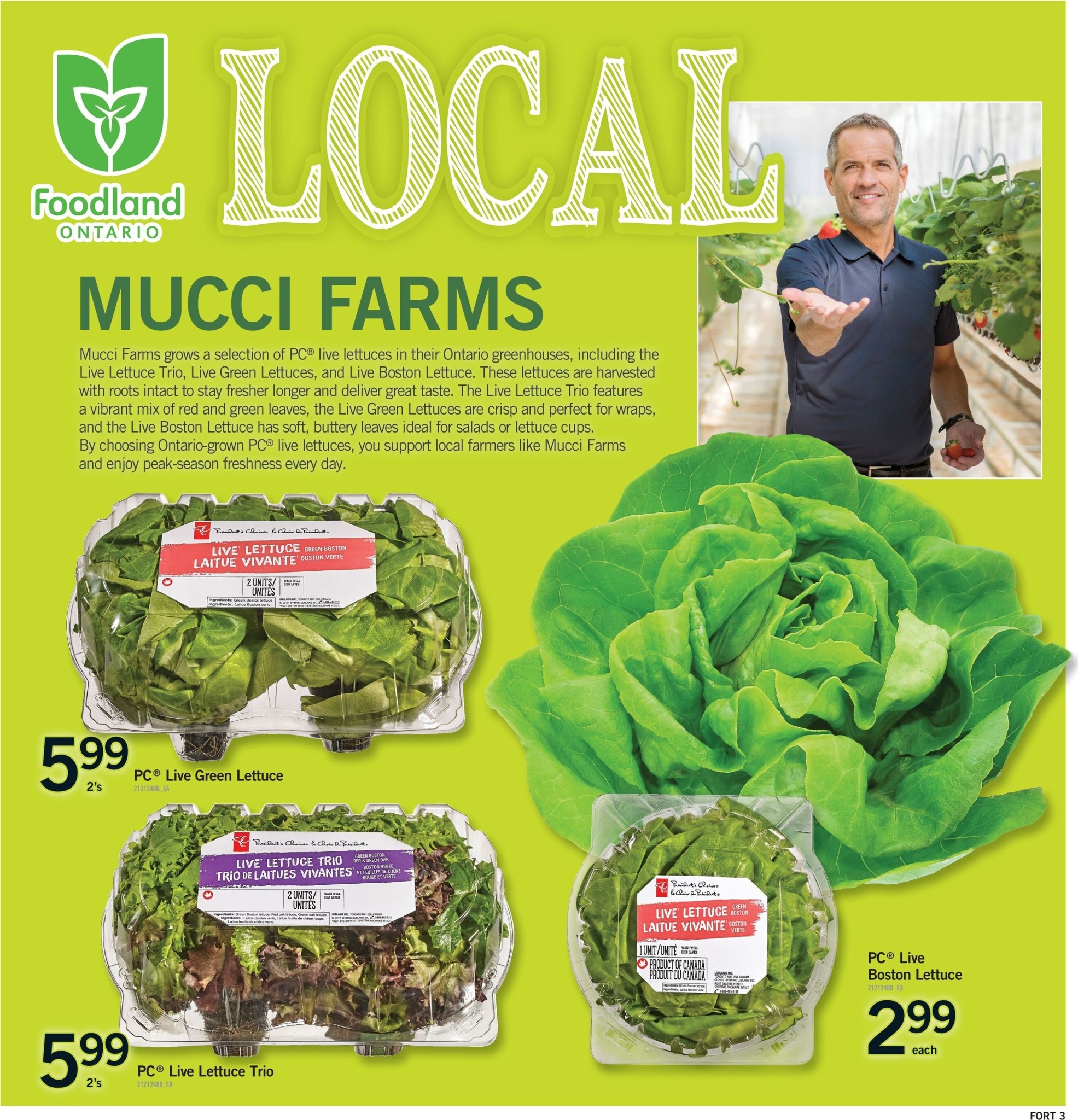 fortinos - Fortinos Flyer Valid from 2026-07-02 to 2026-07-08 - page: 4