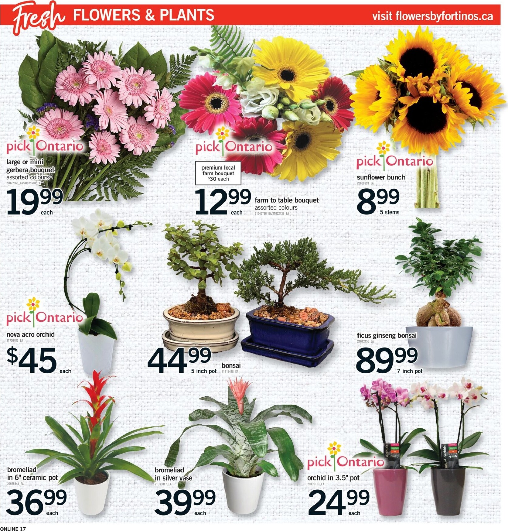 fortinos - New Fortinos Flyer for This Week – 2026-07-09 to 2026-07-16 - page: 16