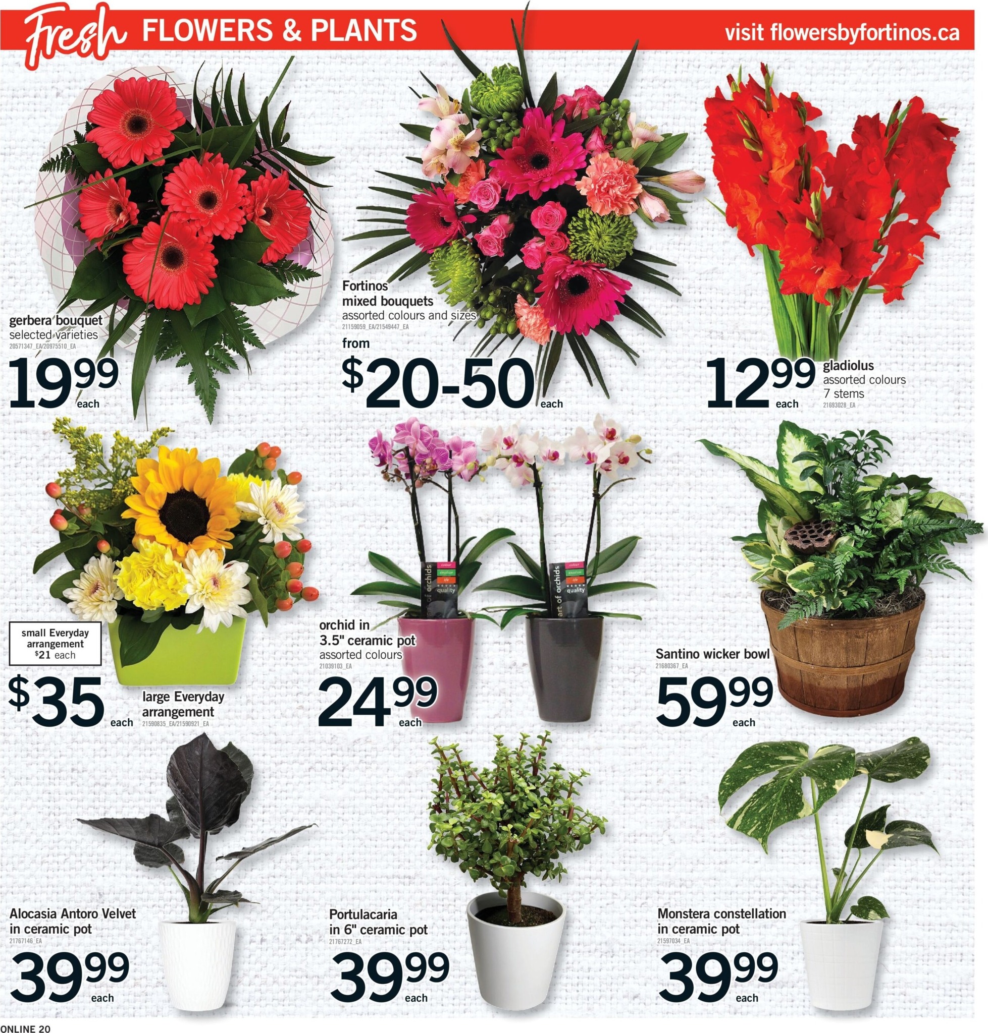 fortinos - New Fortinos Flyer for This Week – 2026-07-23 to 2026-07-29 - page: 19