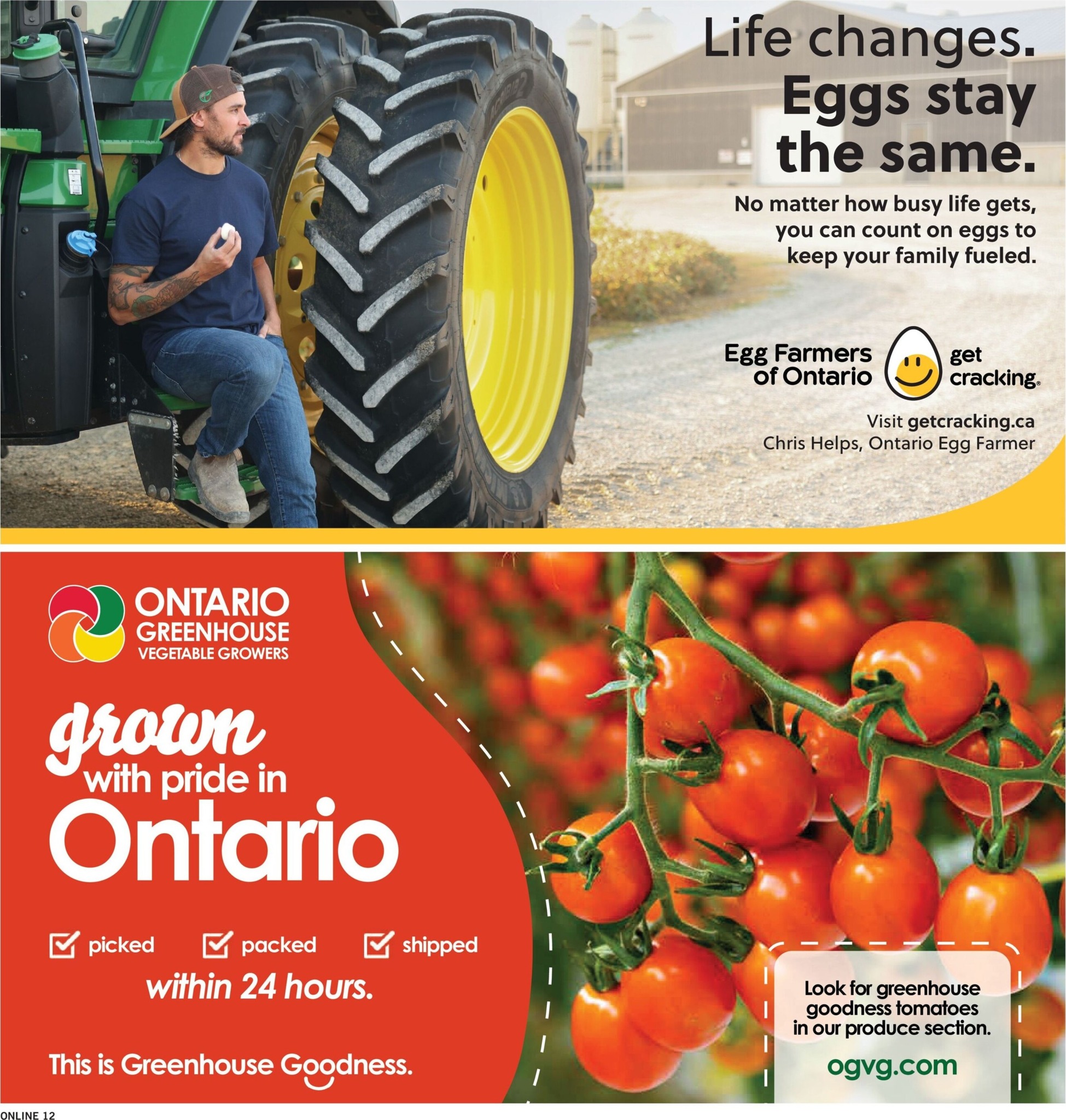 fortinos - New Fortinos Flyer for This Week – 2026-07-30 to 2026-08-05 - page: 13