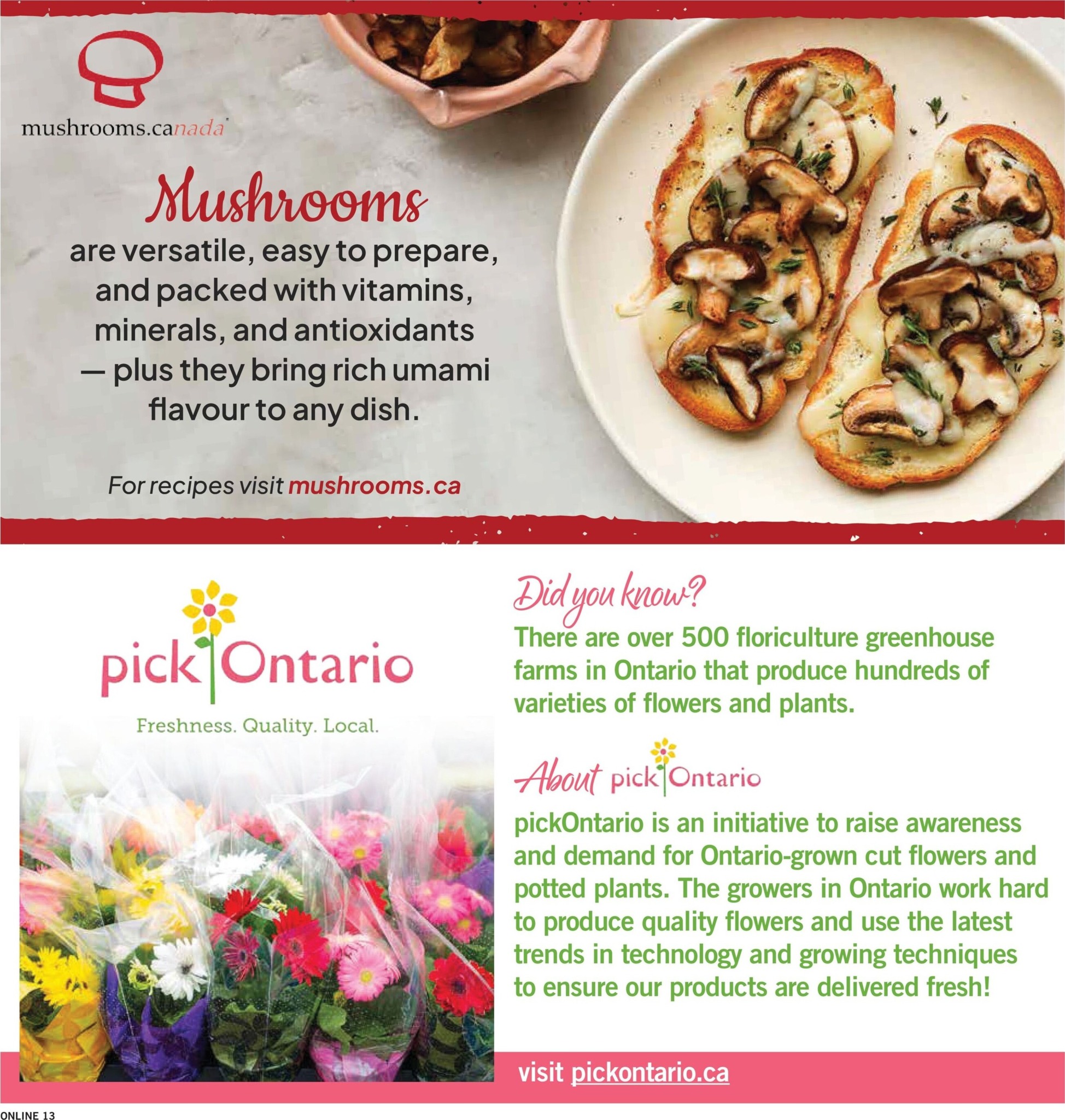 fortinos - New Fortinos Flyer for This Week – 2026-07-30 to 2026-08-05 - page: 14