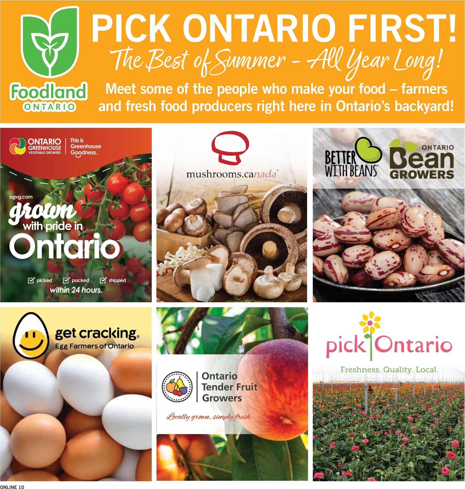 fortinos - New Fortinos Flyer for This Week – 2026-07-30 to 2026-08-05 - page: 11