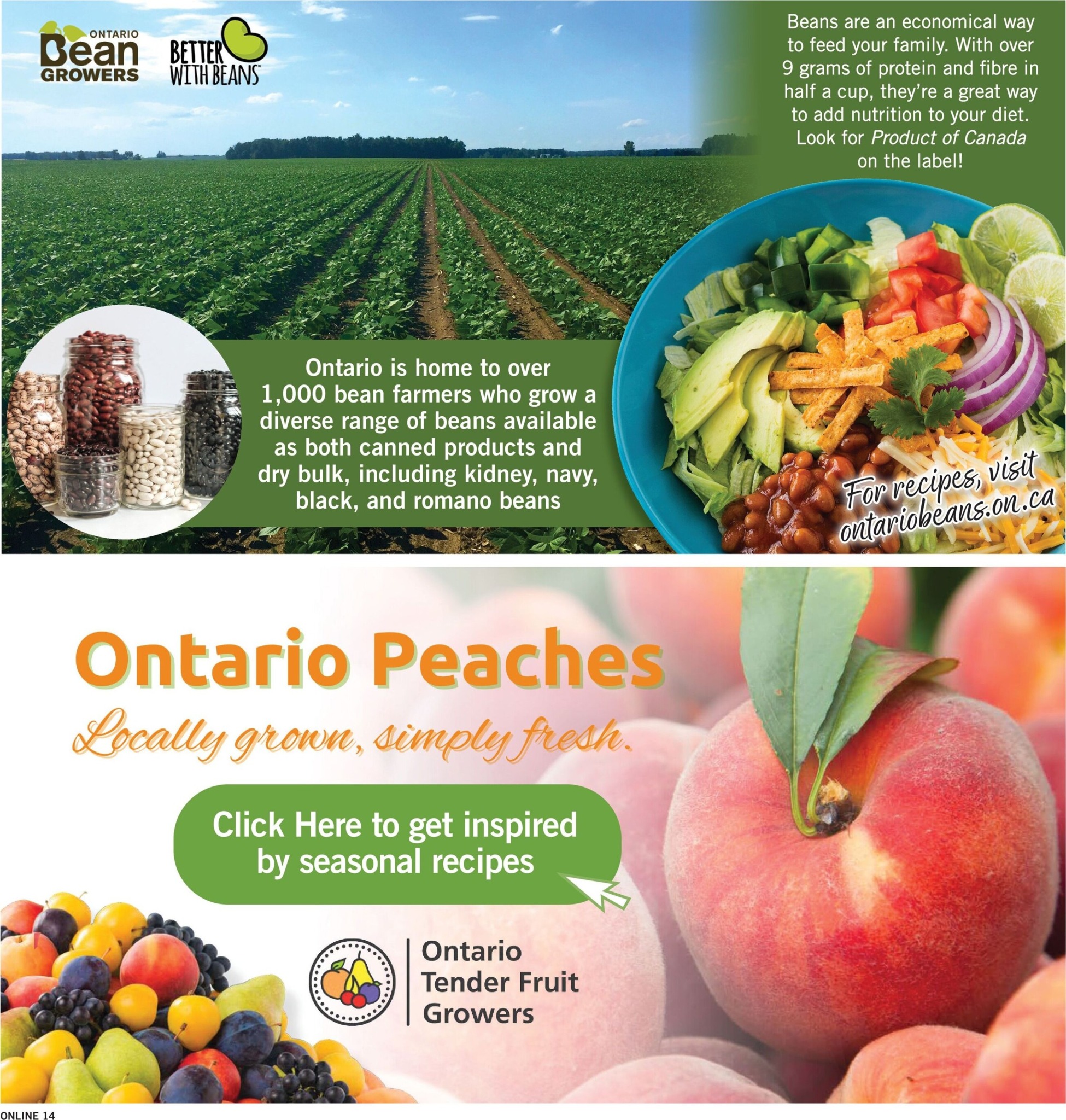 fortinos - New Fortinos Flyer for This Week – 2026-07-30 to 2026-08-05 - page: 15