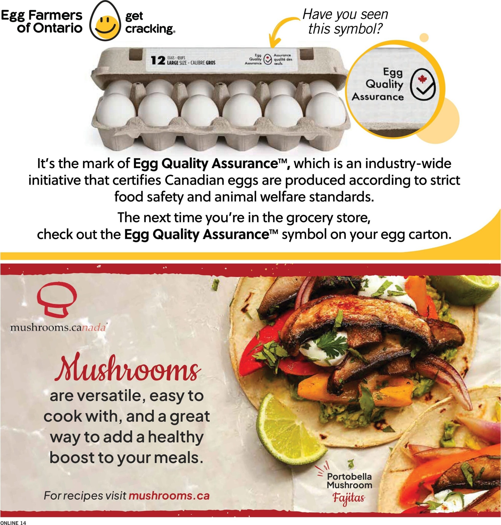 fortinos - New Fortinos Flyer for This Week – 2026-08-20 to 2026-08-26 - page: 14
