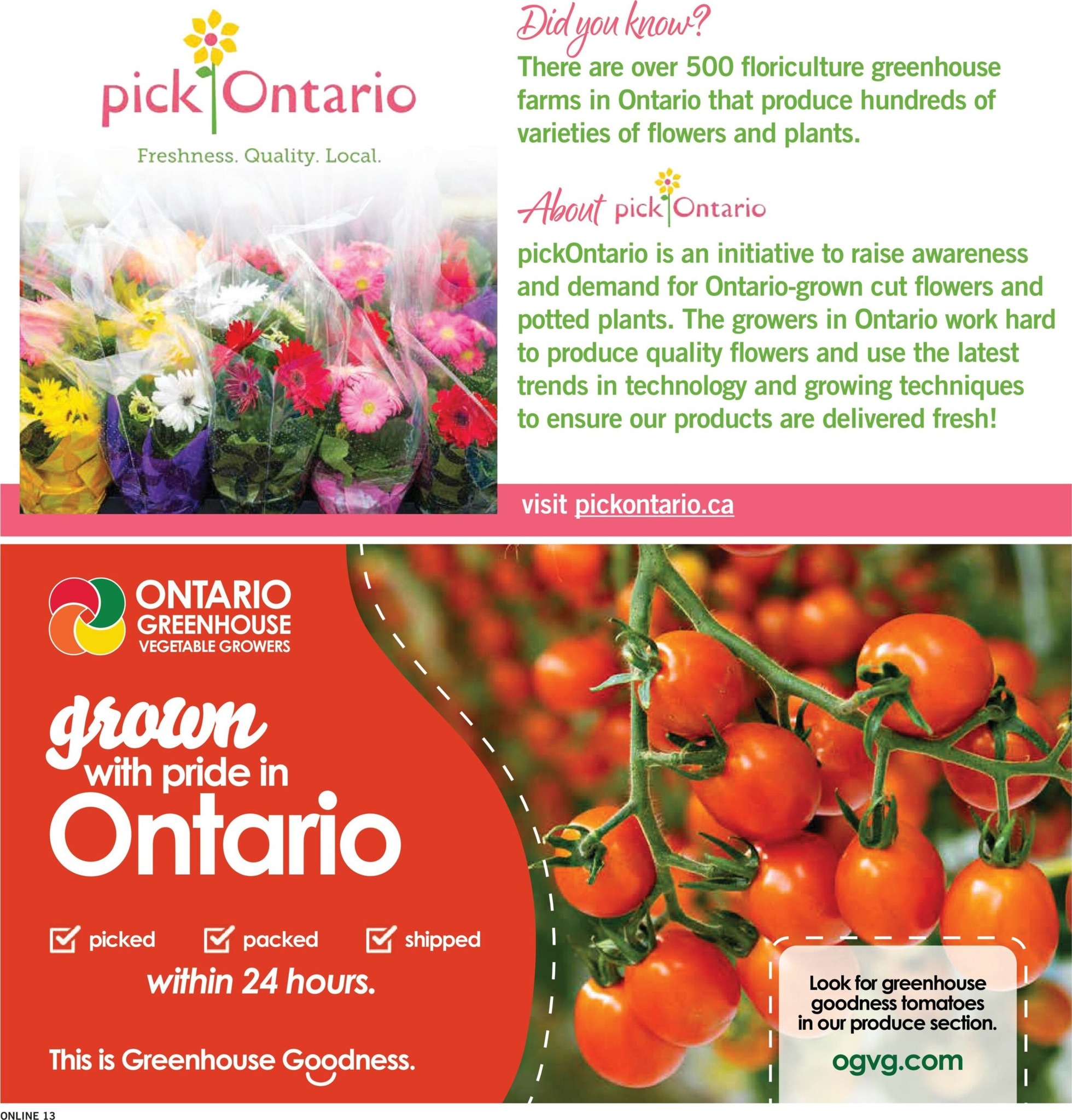 fortinos - New Fortinos Flyer for This Week – 2026-08-20 to 2026-08-26 - page: 13