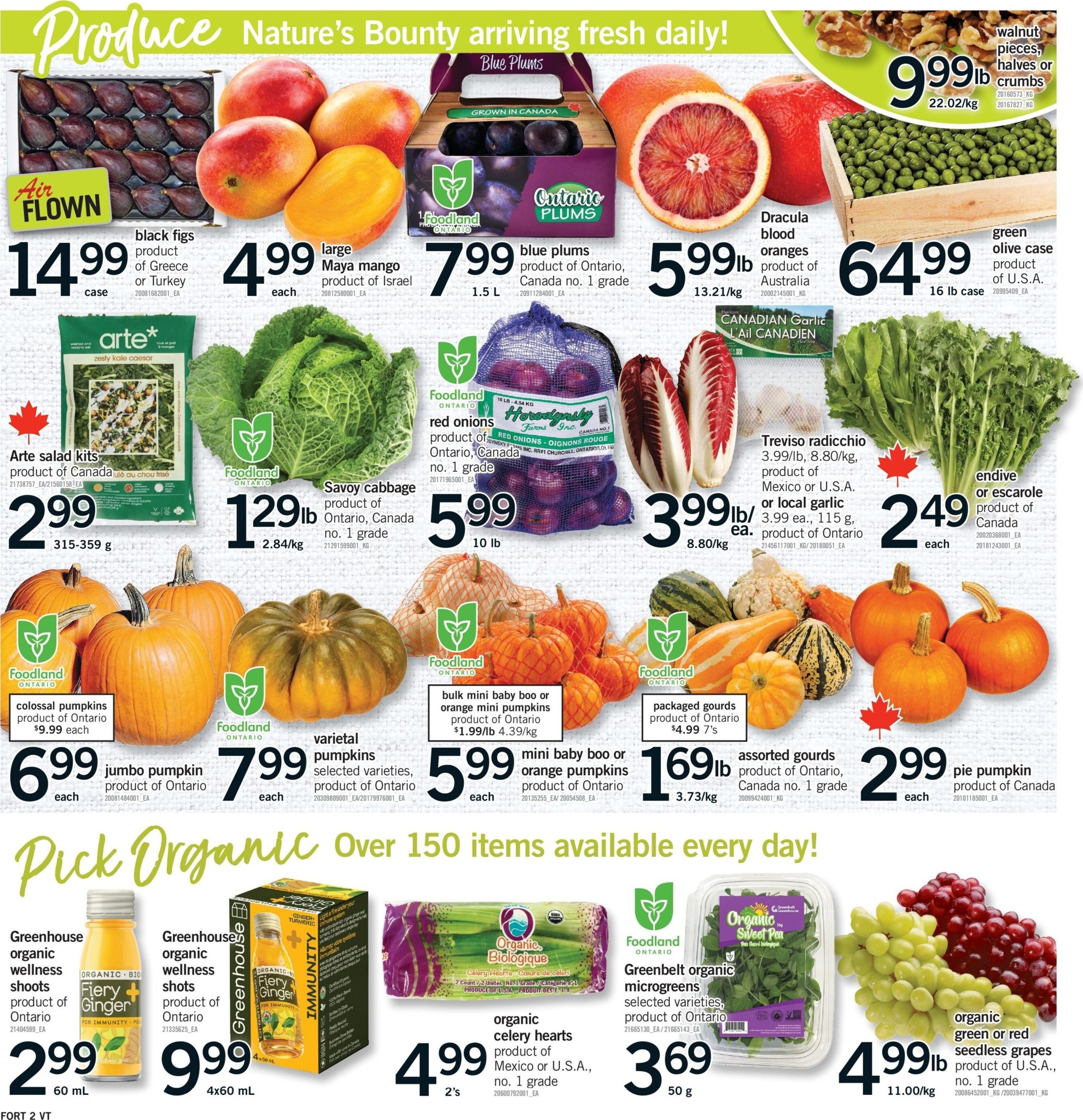 fortinos - New Fortinos Flyer for This Week – 2026-09-10 to 2026-09-16 - page: 3