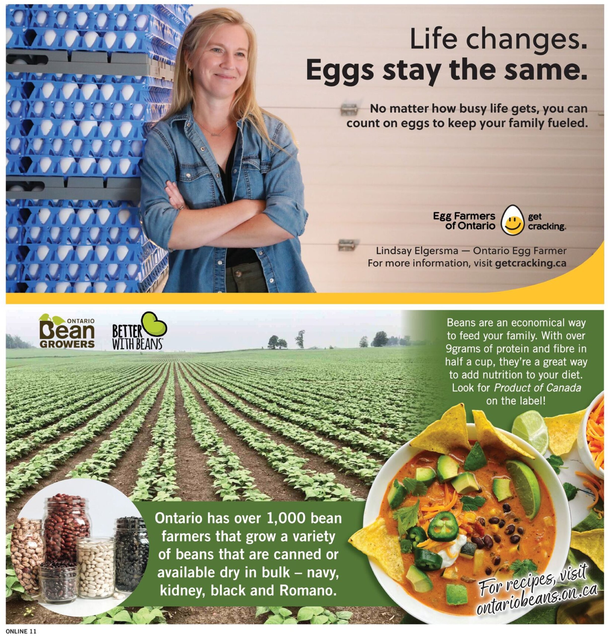 fortinos - Fortinos flyer valid from 07-24 - 07-30 - page: 11