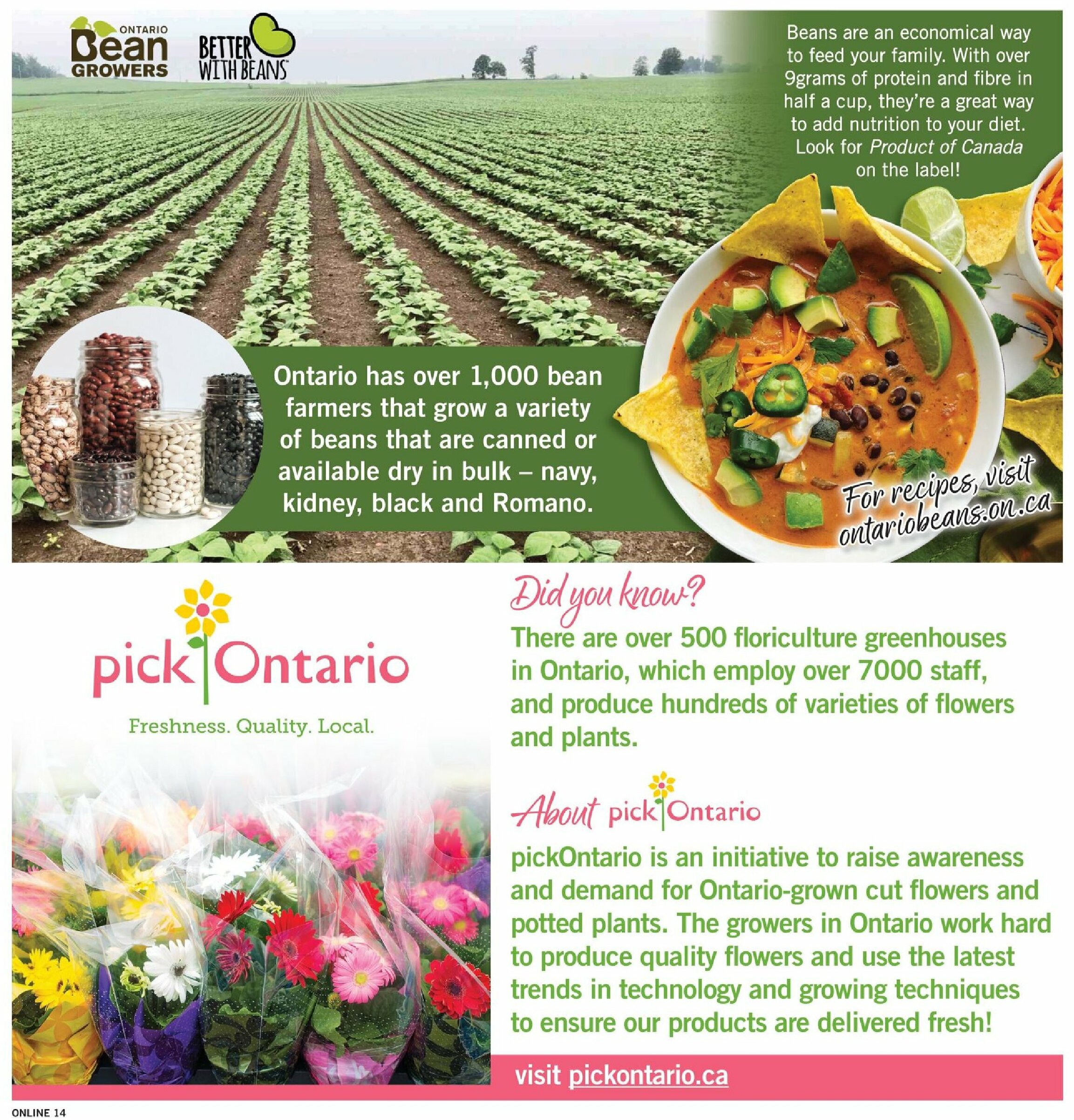 fortinos - Fortinos flyer valid from 08-14 - 08-20 - page: 14