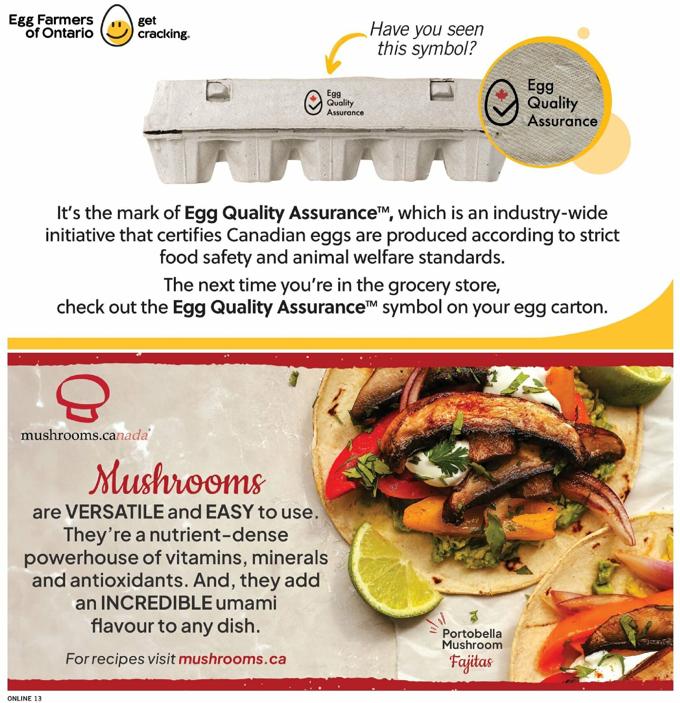 fortinos - Fortinos flyer valid from 08-14 - 08-20 - page: 13