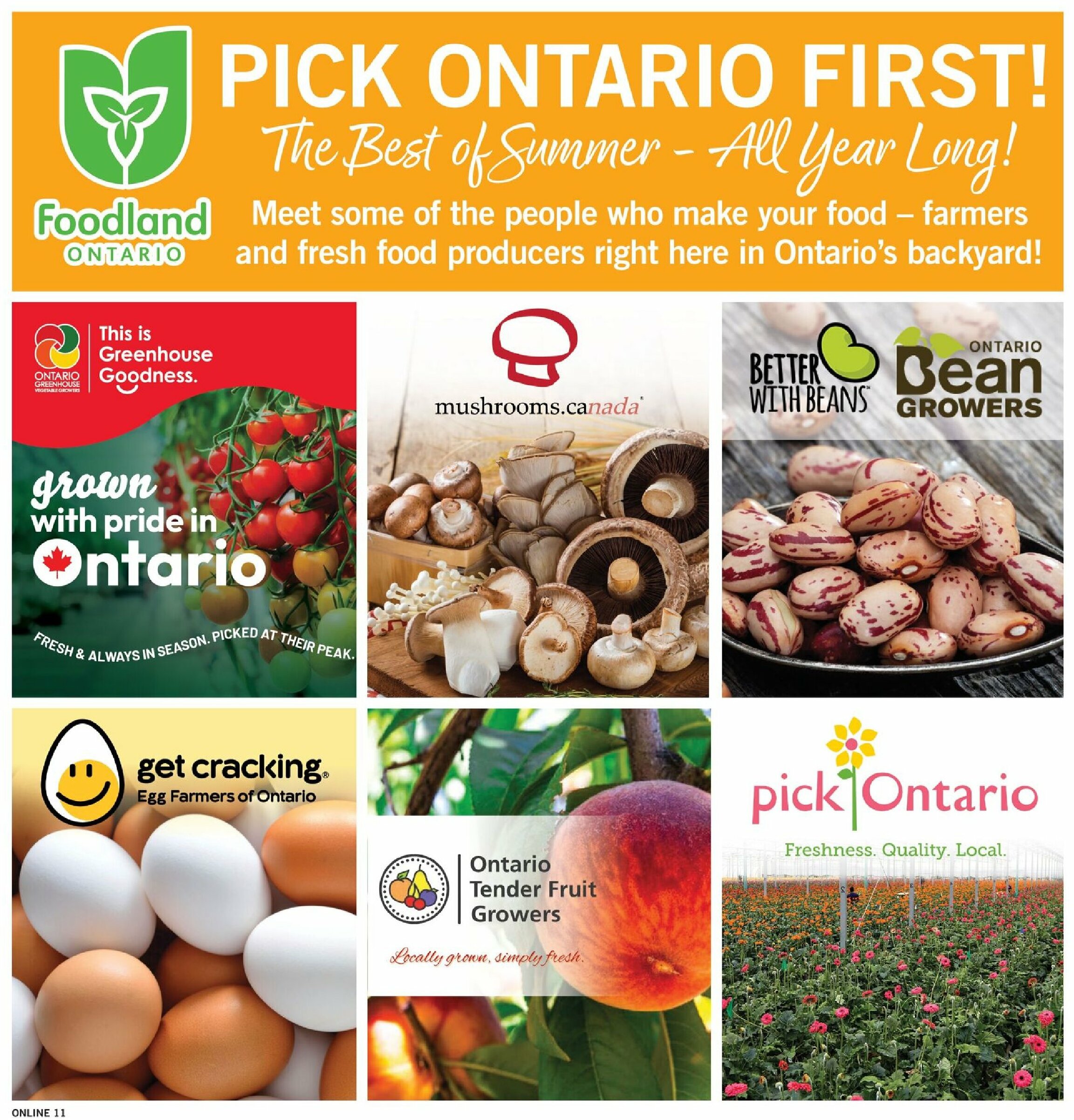 fortinos - Fortinos flyer valid from 08-14 - 08-20 - page: 11